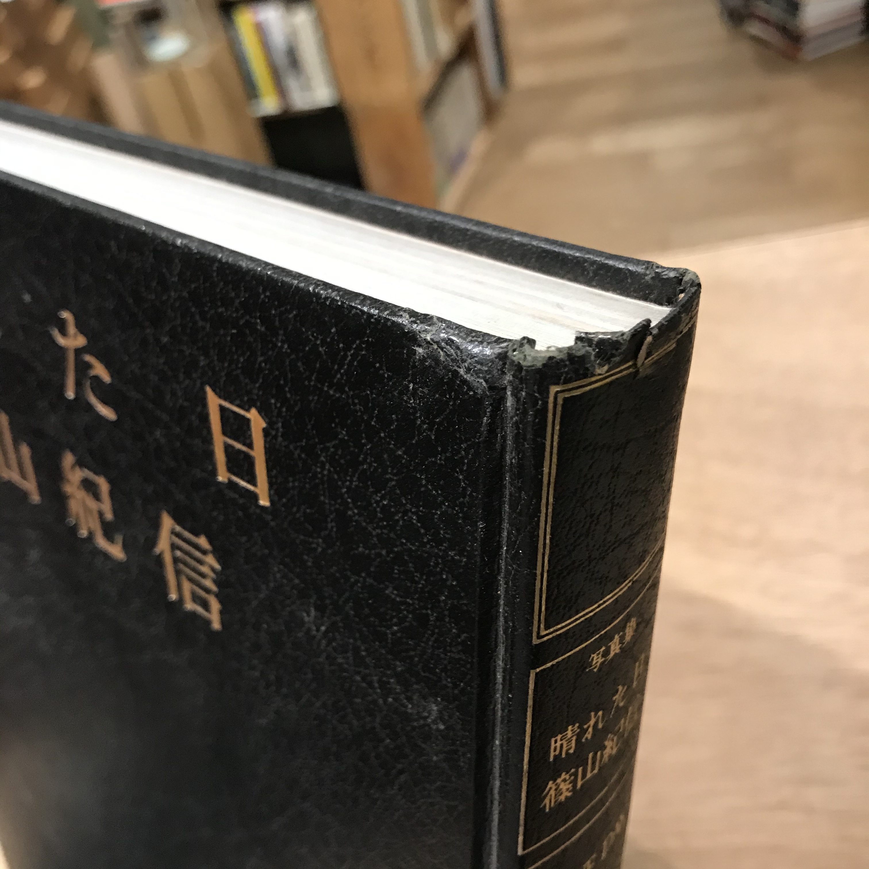 晴れた日 篠山紀信 百年