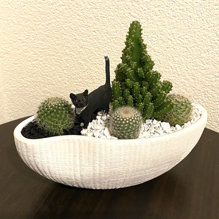 受注生産品 黒猫 Sa03lw Cat ねこ サボテン 観葉植物 インテリア グリーン ミニチュア かわいい 動物 フィギュア 三和ポチット