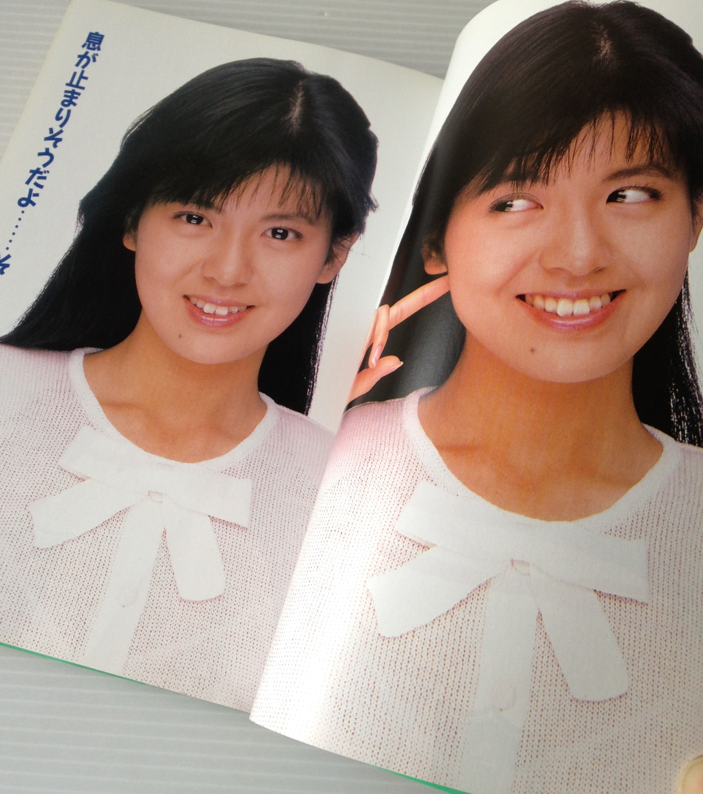 まるごと南野陽子book Ore Books 古書店 リブロスムンド Librosmundo