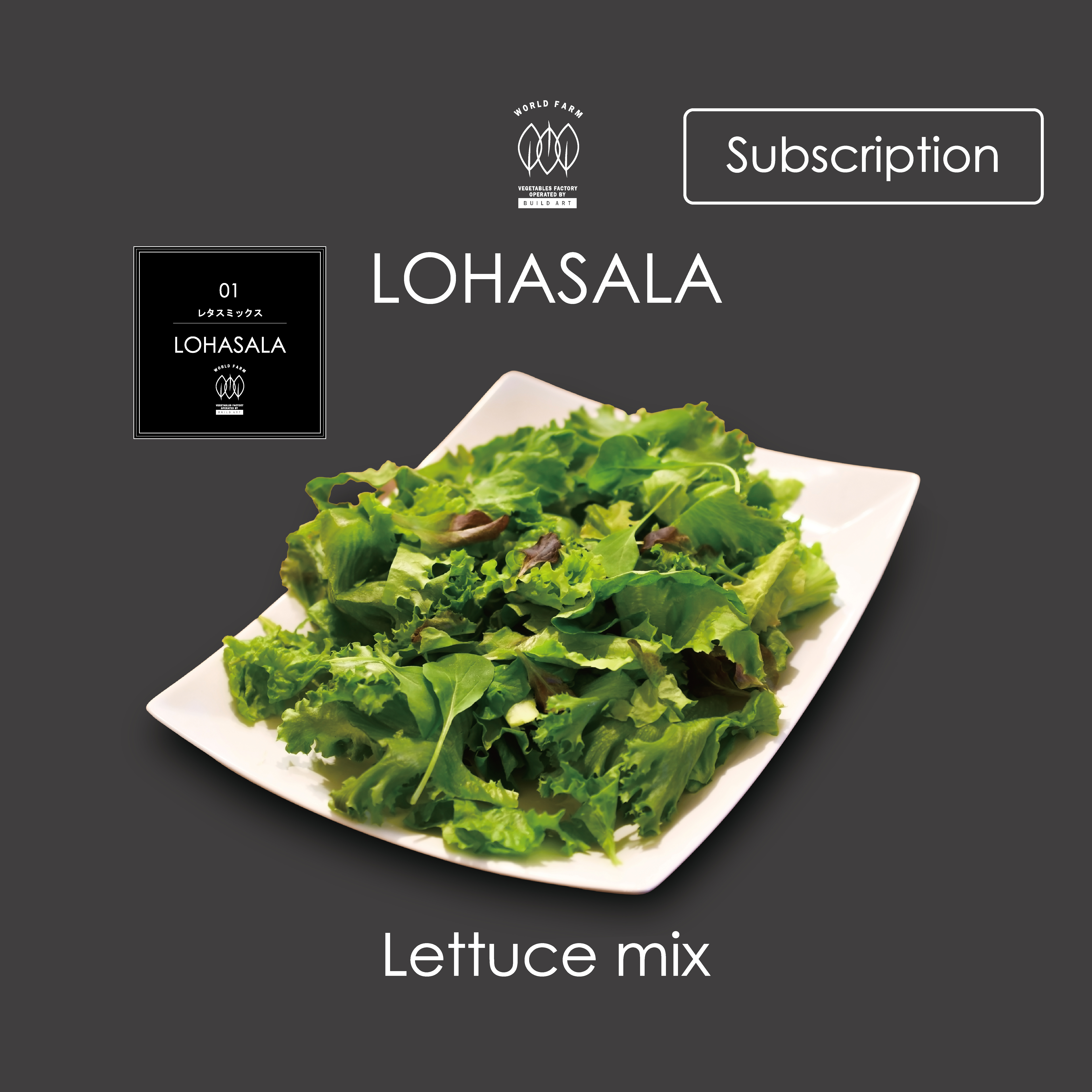 定期 Lohasala レタスミックス 小分け5個 100g 無洗led栽培野菜 農薬不使用工場栽培野菜 Lohasala ロハサラ