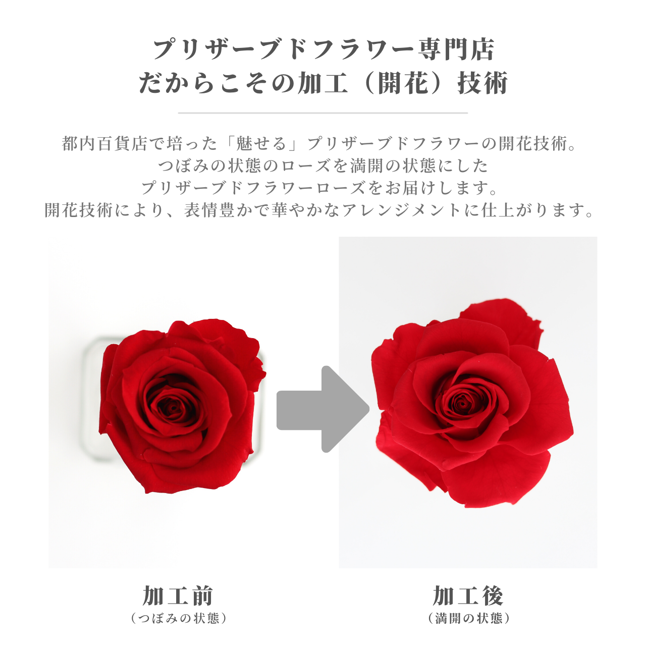 ギフトラッピング メッセージカード 無料 プリザーブドフラワー アレンジメント 黄色い薔薇 イエロー バラ 一輪 ギフト オーダーメイド 母の日 父の日 おしゃれ かわいい ディスティニー Destiny イエロー プリザーブド フラワー ギフト フェアリール プリザーブド