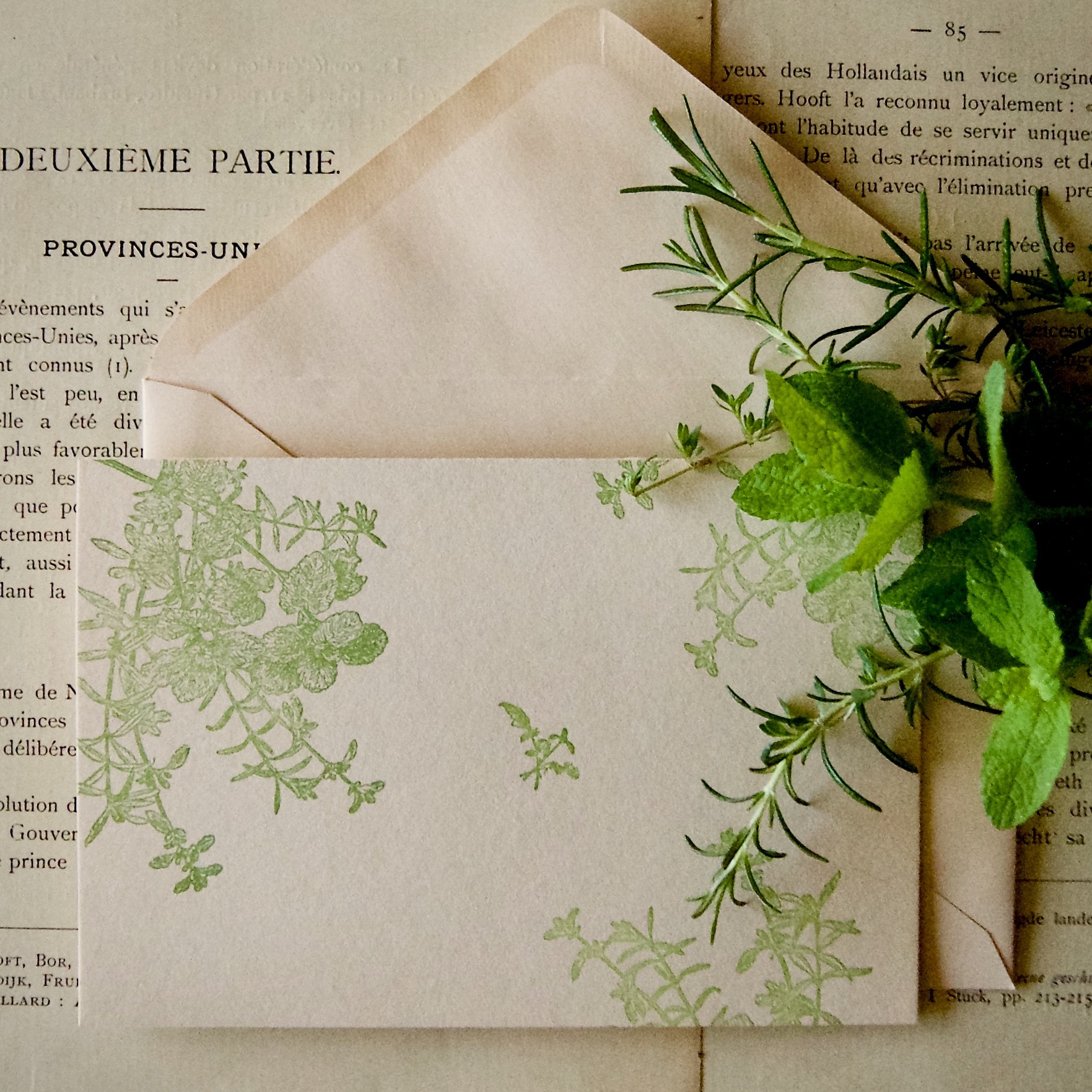 カード 大 ミント タイム ローズマリー カード1枚 封筒1枚 活版印刷 Botaniko Press Online Shop