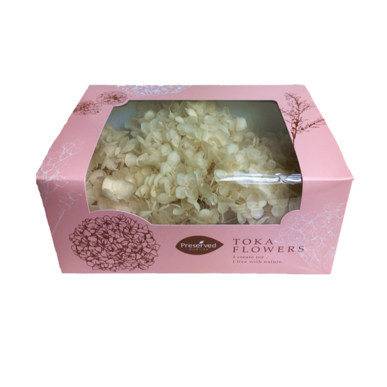 10 Off プリザーブドあじさい 箱販売2 5輪 東北花材 ソフトあじさいアナベル ホワイト フラワーギフトrabbitflower