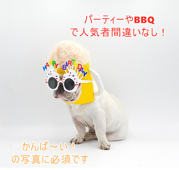 Km507g被り物 ビール 犬 帽子 超小型犬 小型犬 中型犬 大型犬 かわいい 変身 コスプレ 仮装 パーティー イベント インスタ映え カラフル フレンチブルドッグ ペット用 Dearkm フレンチブルドック孔明