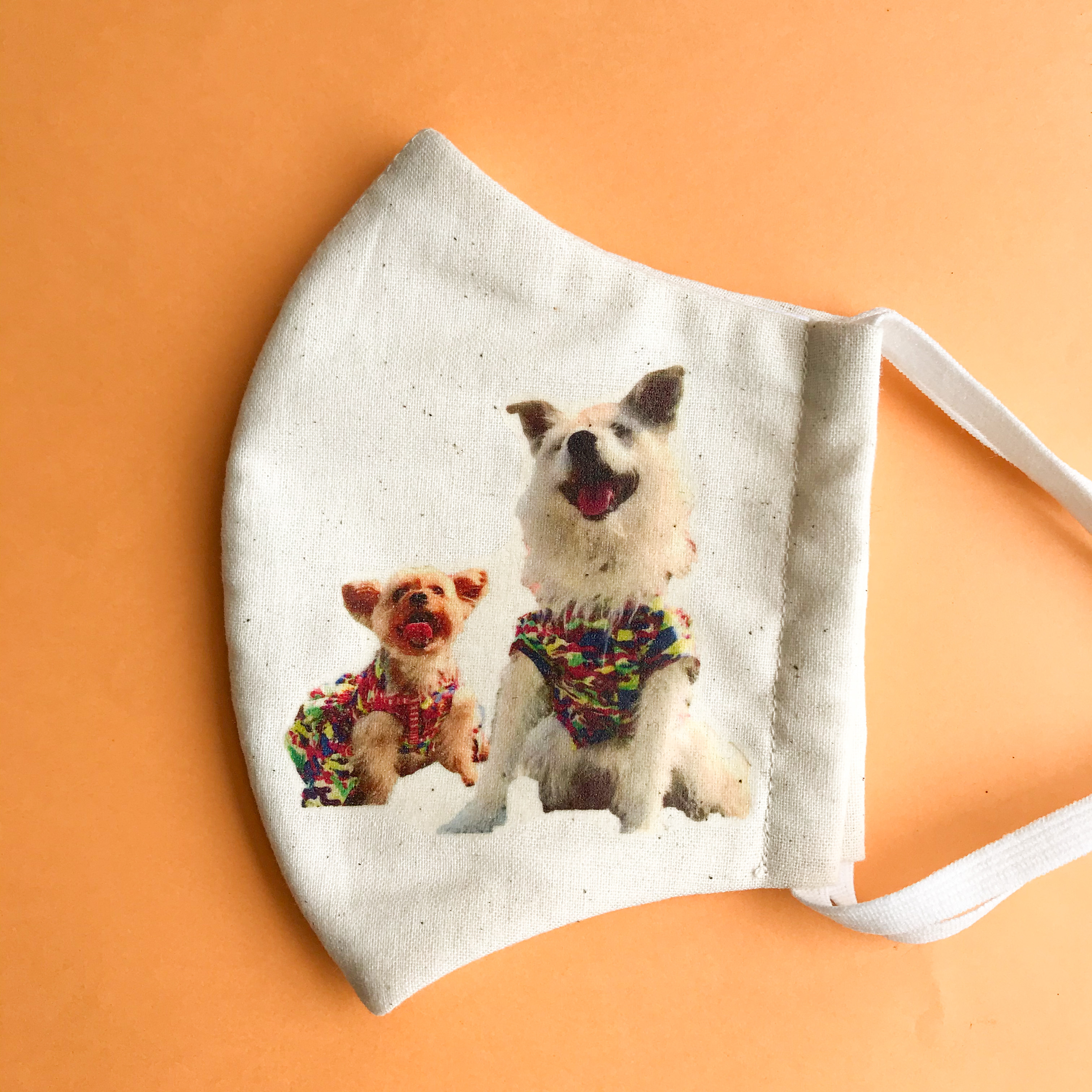 オーダーメイド 立体マスク うちの子 アイロンプリント Tony Dog Zakka ハンドメイド犬服と雑貨のお店