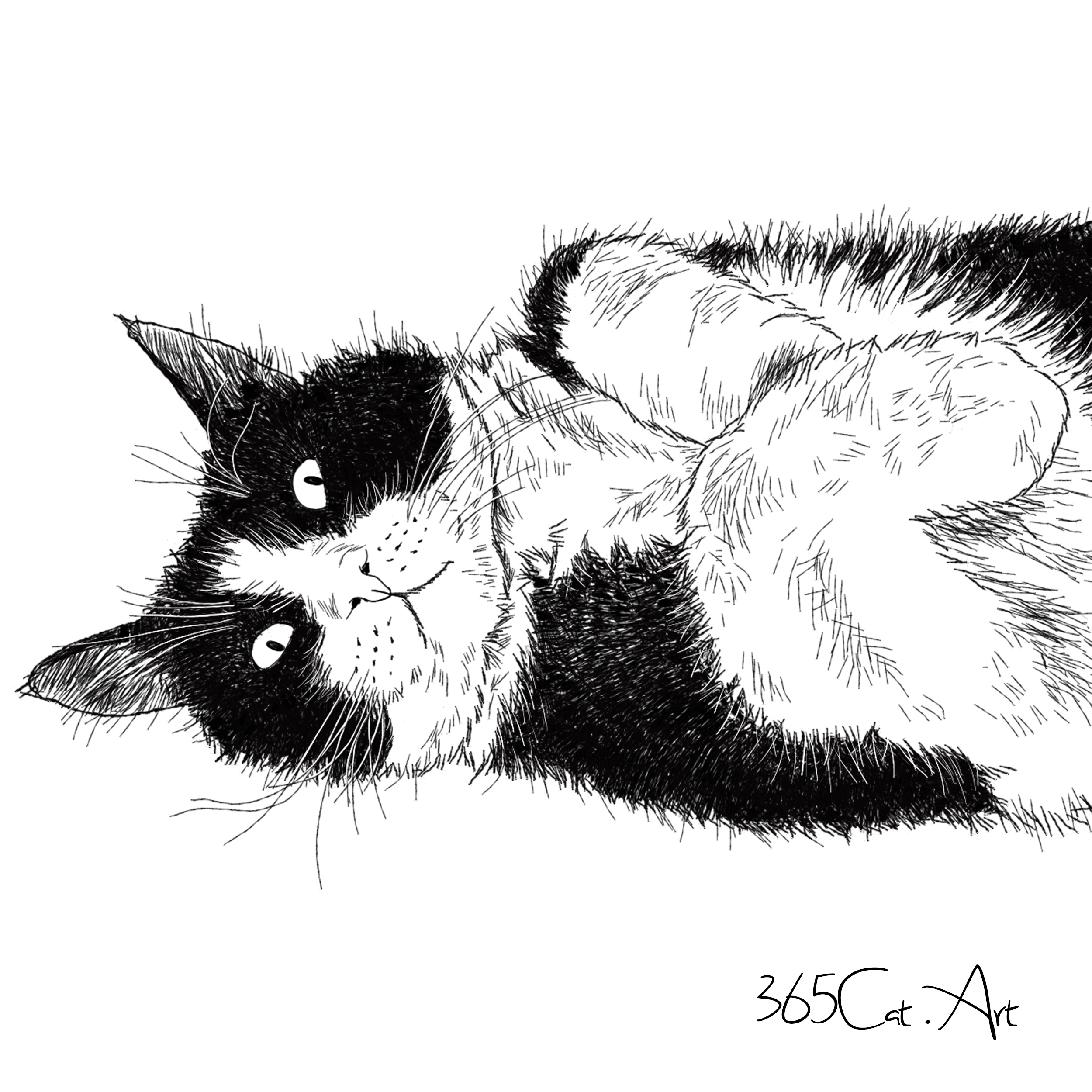 猫の手描きイラスト 似顔絵 白黒 作成 上半身 動物 人間可 猫雑貨 グッズ通販 猫や動物イラスト 似顔絵作成 365cat Art