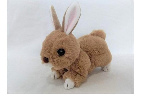 うさぎのマロン たち耳 うさぎセレクトショップ森音 東京神田のうさぎ雑貨