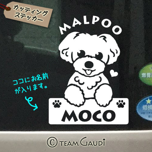 名前入ステッカー トイプードル No 10 マルプー ポメプー シープ ミックス犬 セミオーダー ドッグインカー 防水シール 工房 Team Gaudi