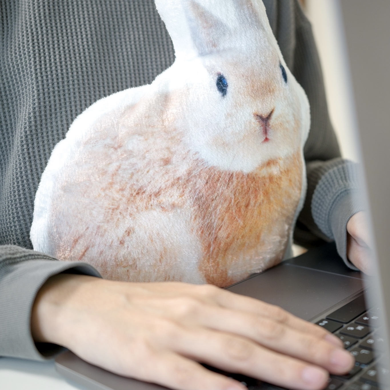 うさぎのふわふわクッション Ame うさぎのデザイン雑貨専門ストア