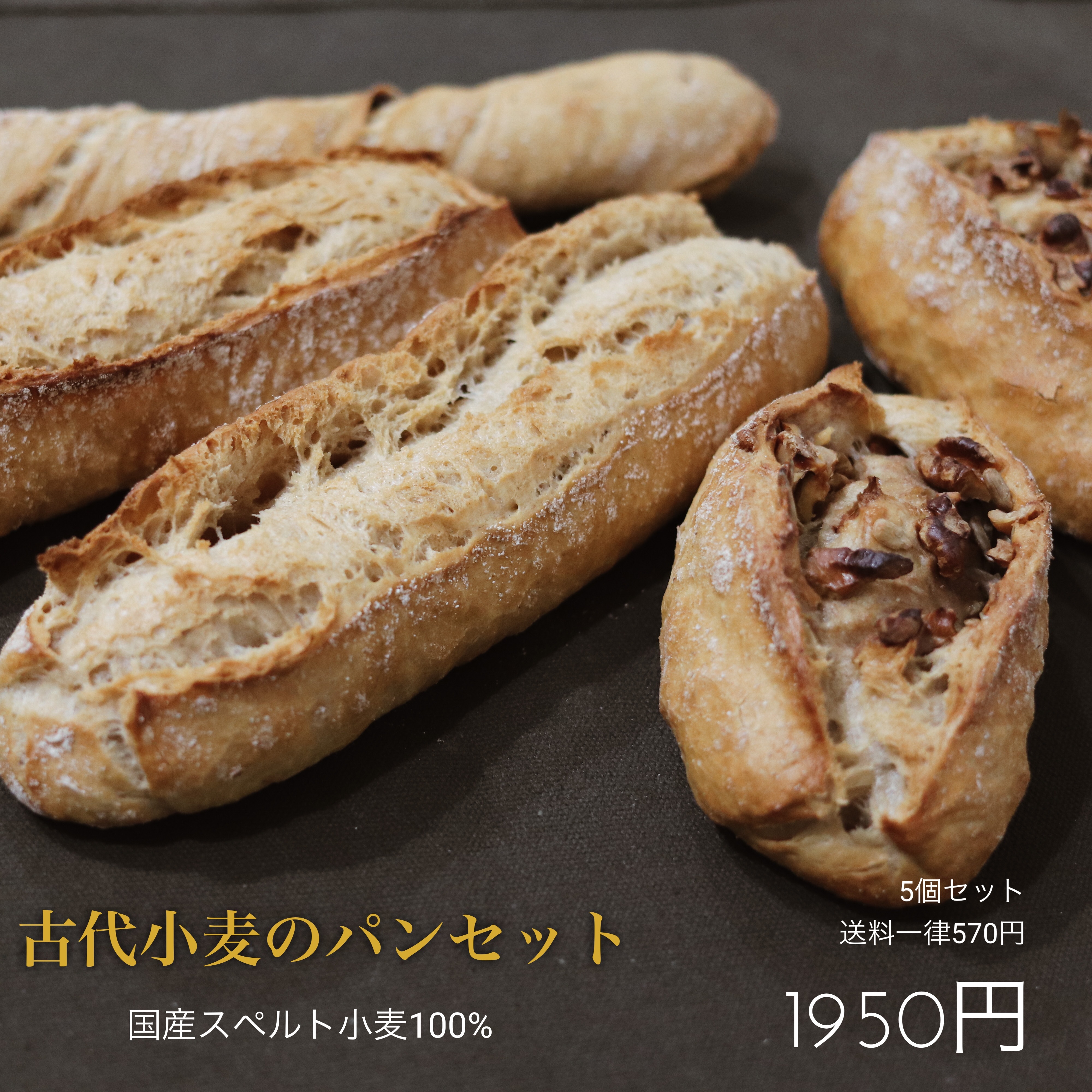 古代小麦のパンセット 1950円 スペルト小麦 Kanzan