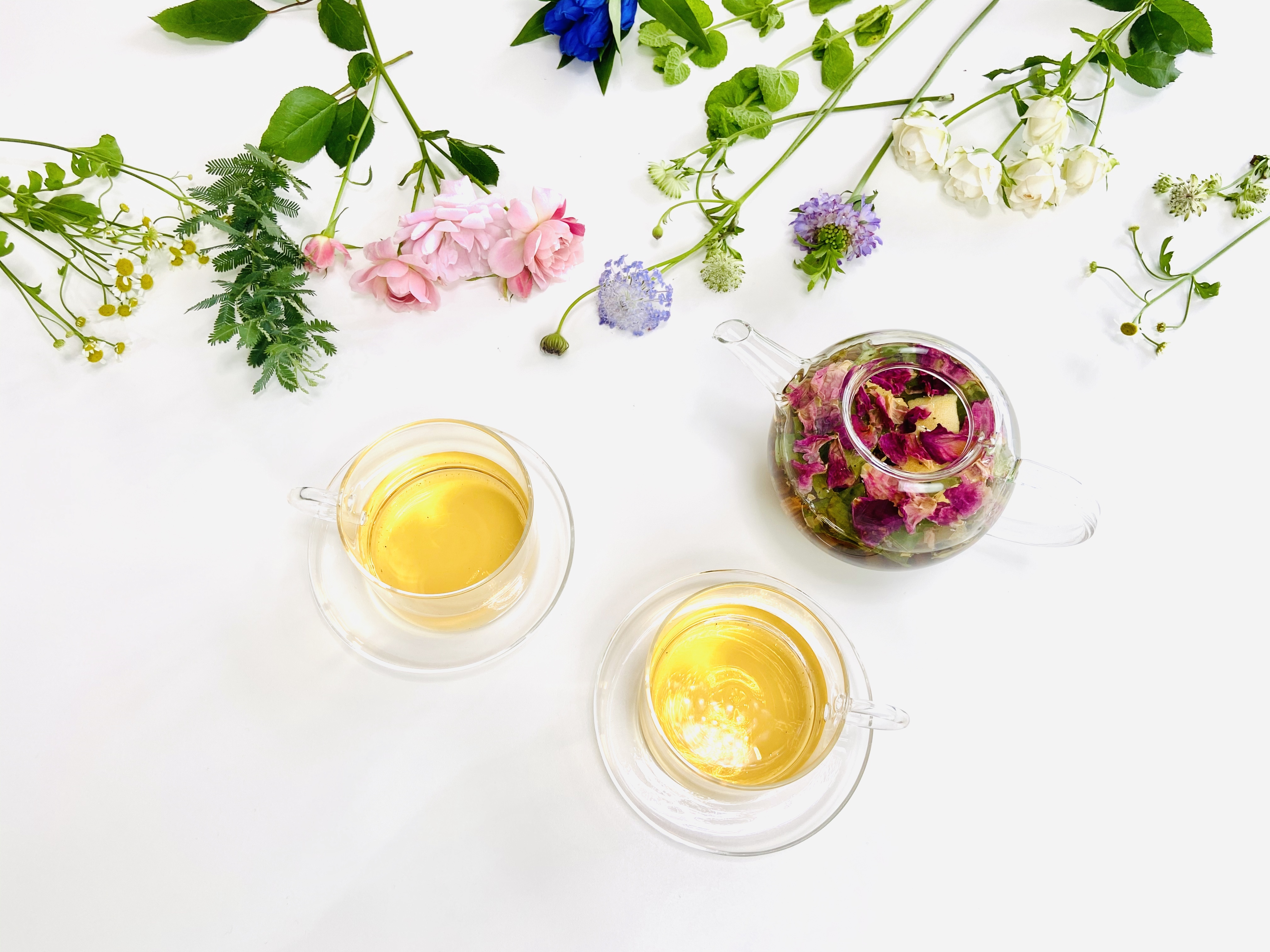 Flowerb Tea ３ 植物からの贈り物 ハーブティー 人気のお茶セレクト プレゼント ギフト お土産にもおすすめ ハーブティーshop 花紡 ーはなつむぎー