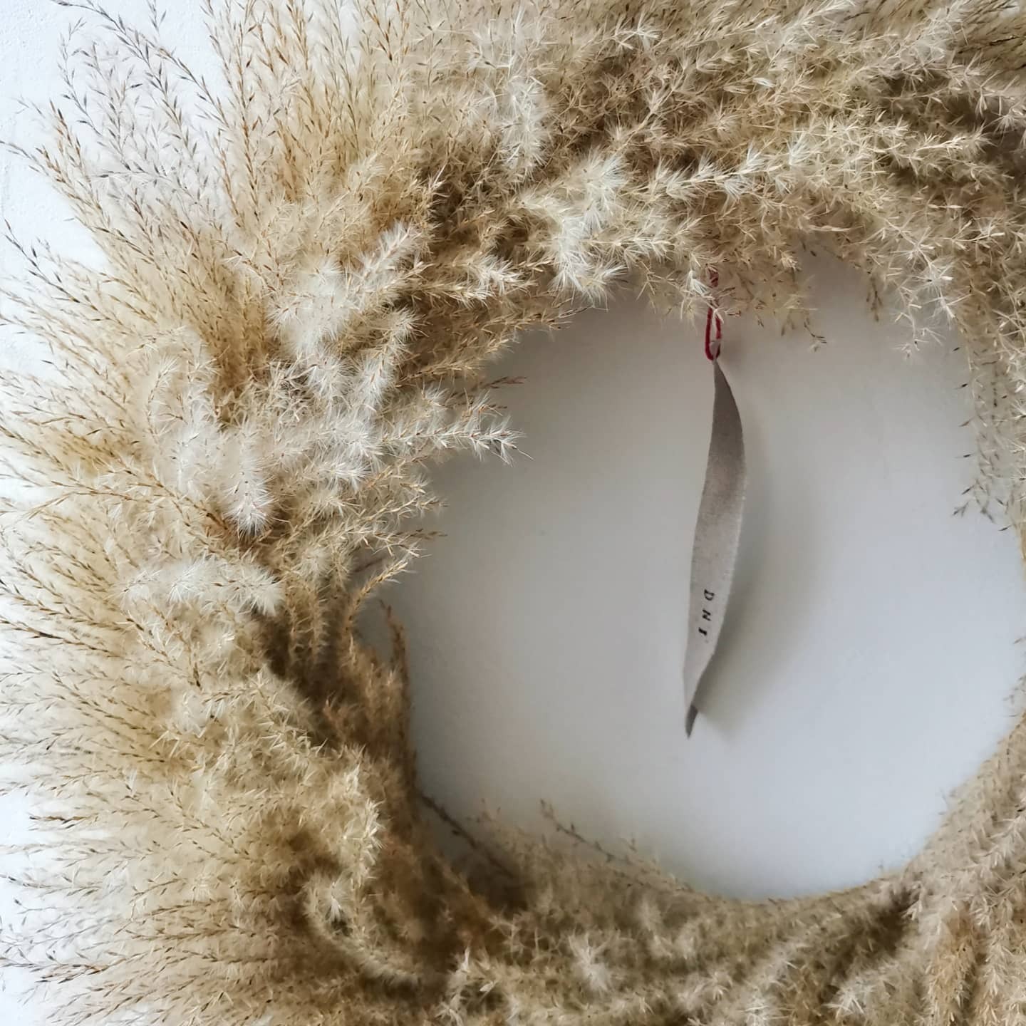 フラワー すすき ドライ