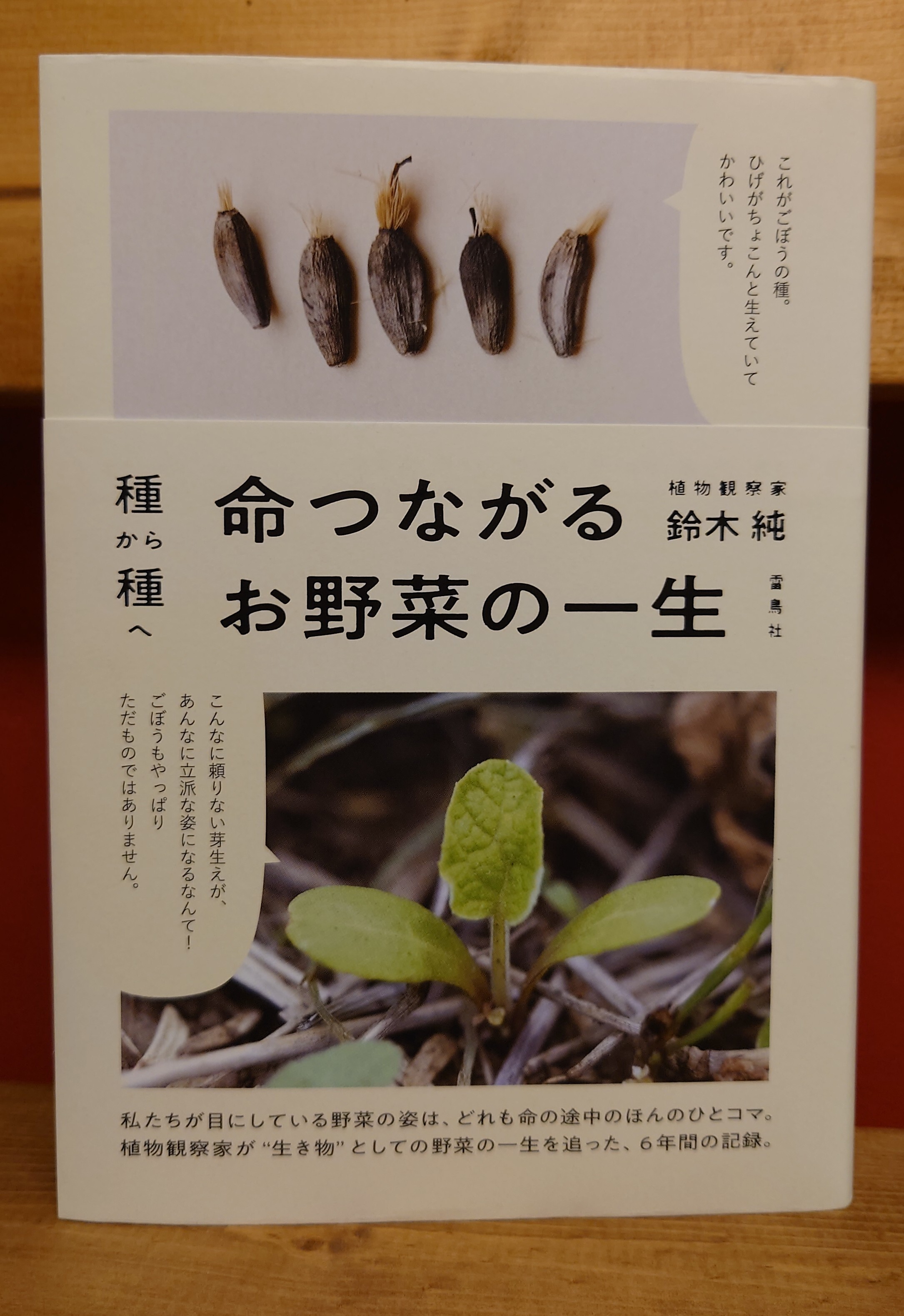 種から種へ 命つながる お野菜の一生 弥生坂 緑の本棚