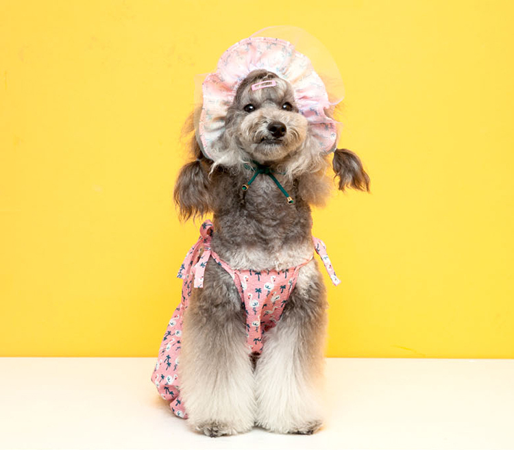 予約商品5 Off Flamingo Bonnet 4color 犬服 夏 新作 犬用 ボンネット 帽子 暑さ対策 犬 アクセサリー 可愛い お揃い ドッグウェア 小型犬 中型犬 ペット用品ショップ Nari Pet