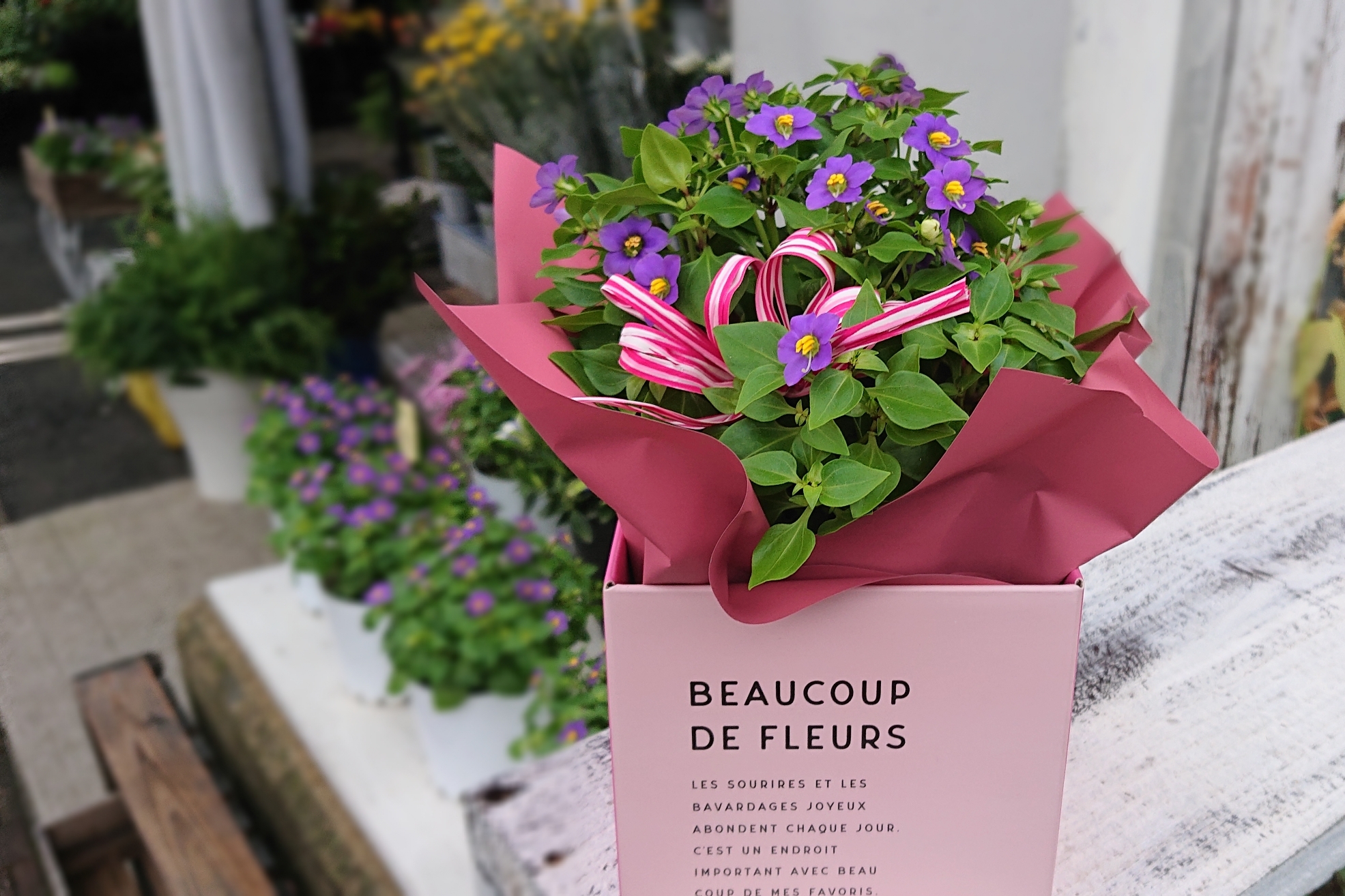 長崎の花屋さん エキザカムボックス入り 花どころ かん