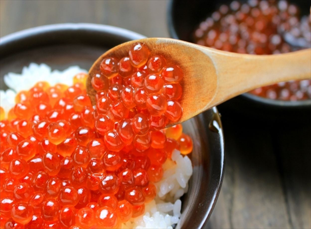 根室産 樽いくら醤油漬け 700g マルダイ水産 公式 通販