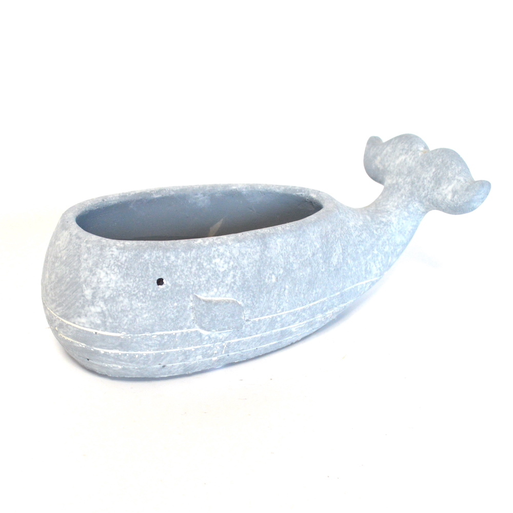 19 ホエールプランター くじら クジラ シンプル プランター おしゃれ ポット セメント 底穴あり 多肉植物 観葉植物 三和ポチット