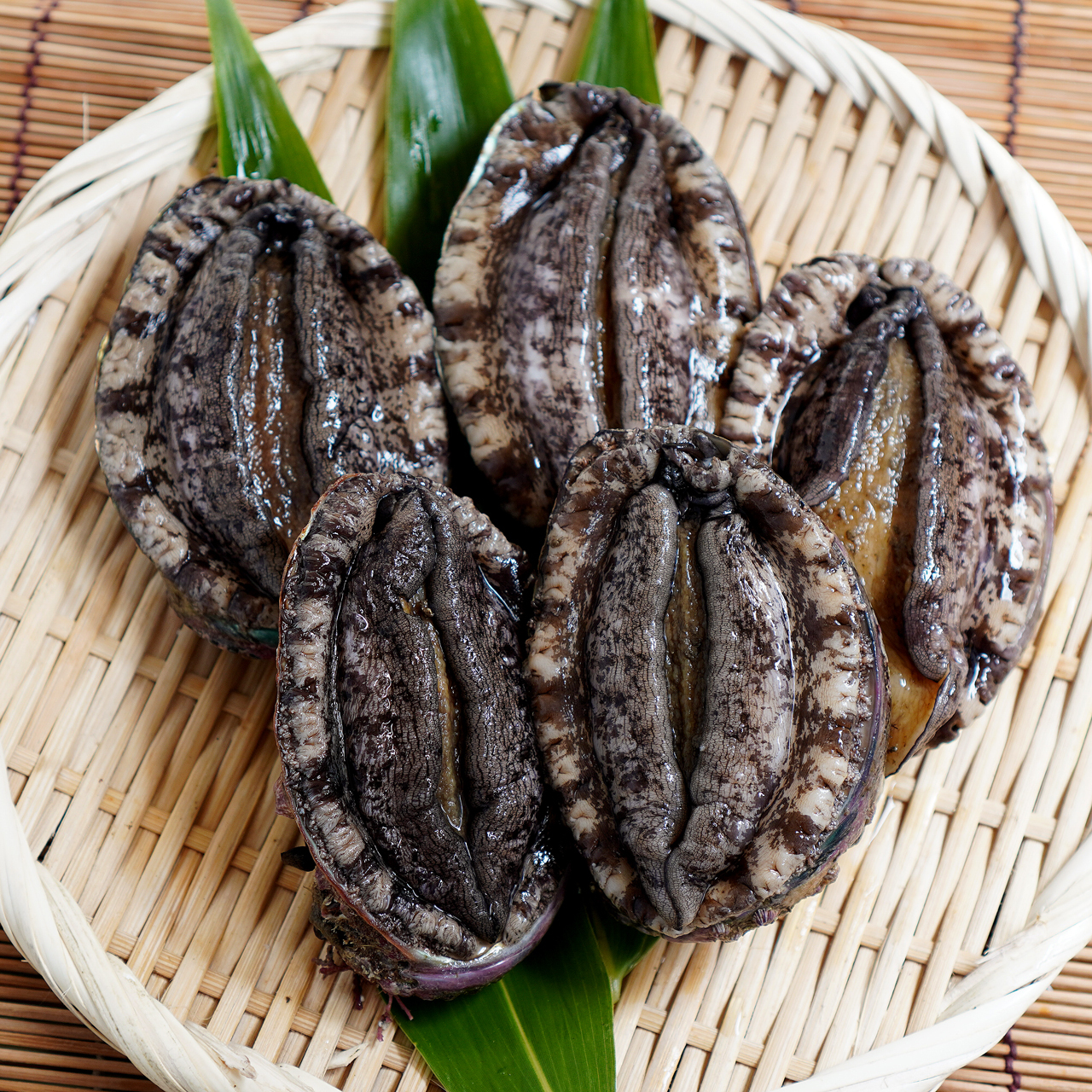 三陸産天然活アワビｓサイズ 5個 約500g マルヤ五洋水産ネットショップ 昭和32年創業のアワビ専門問屋