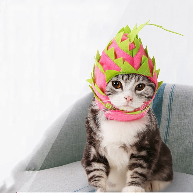 Km632g犬 猫 被り物 ドラゴンフルーツ 夏 フルーツ ユニーク コスプレ 変身 犬猫コスチューム ハロウィン ハロウィン衣装 撮影用 ペット帽子 送料無料 ペットウェア ずれにくい かわいい おしゃれ Dearkm フレンチブルドック孔明 Km632g犬 猫 被り物 ドラゴンフルーツ 夏 フルーツ ユニーク コスプレ 変身 犬猫コスチューム ハロウィン ハロウィン衣装 撮影用 ペット帽子 送料無料 ペットウェア ずれにくい かわいい おしゃれ Dearkm フレンチブルドック孔明