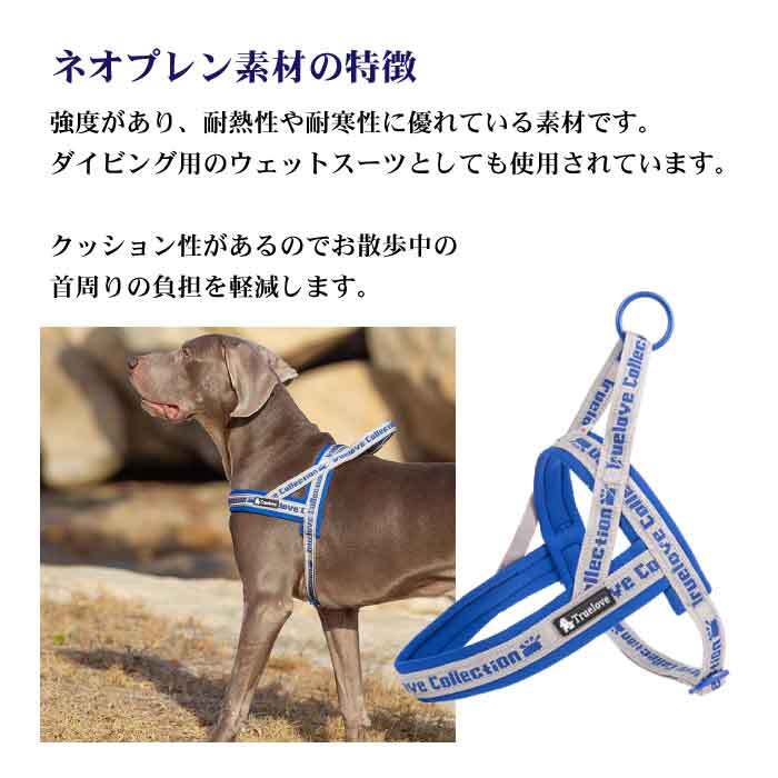 Km519g 犬 定番クッション入りハーネス フレンチブルドッグ 超小型犬 小型犬 中型犬 大型犬 Dearkm フレンチブルドック孔明