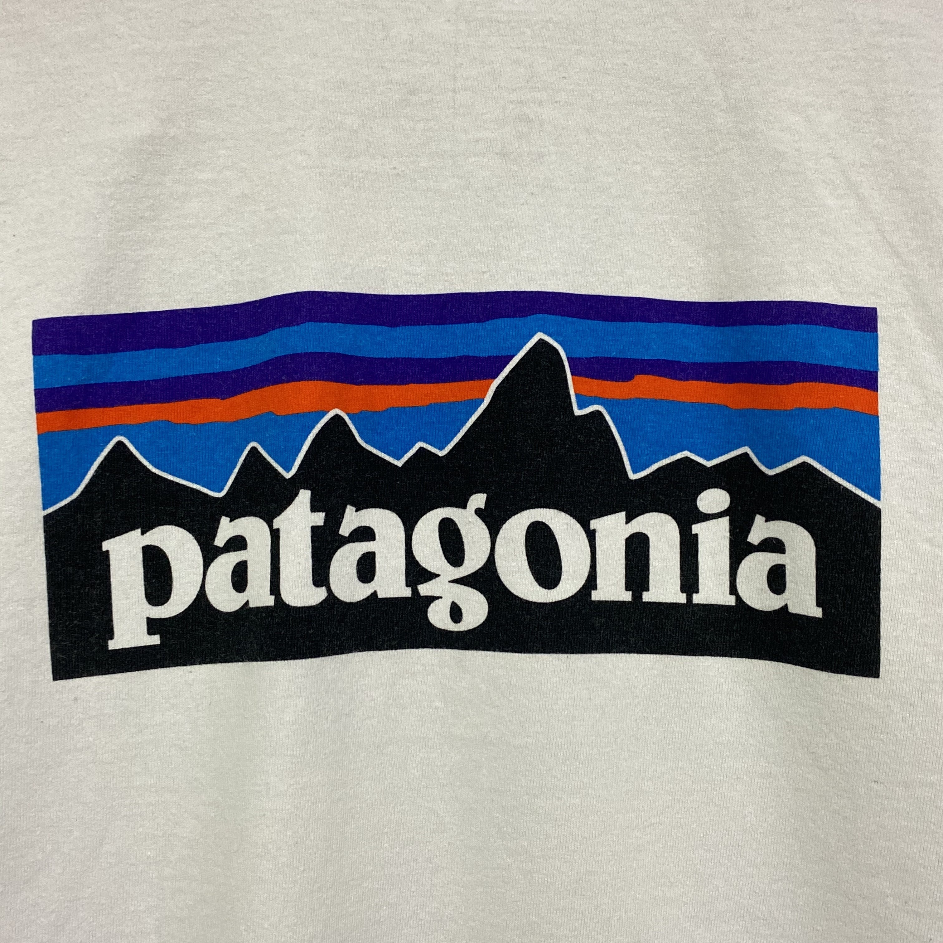 Patagonia パタゴニア ロゴプリントtシャツ メンズｍ Tシャツ Cave 古着屋 公式 古着通販サイト