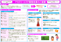 ａ４ １枚企画書書き方事例 業態改革 アカスリ エステ業態改革のご提案 Pdf版 企画書 提案書作成事例ショップ