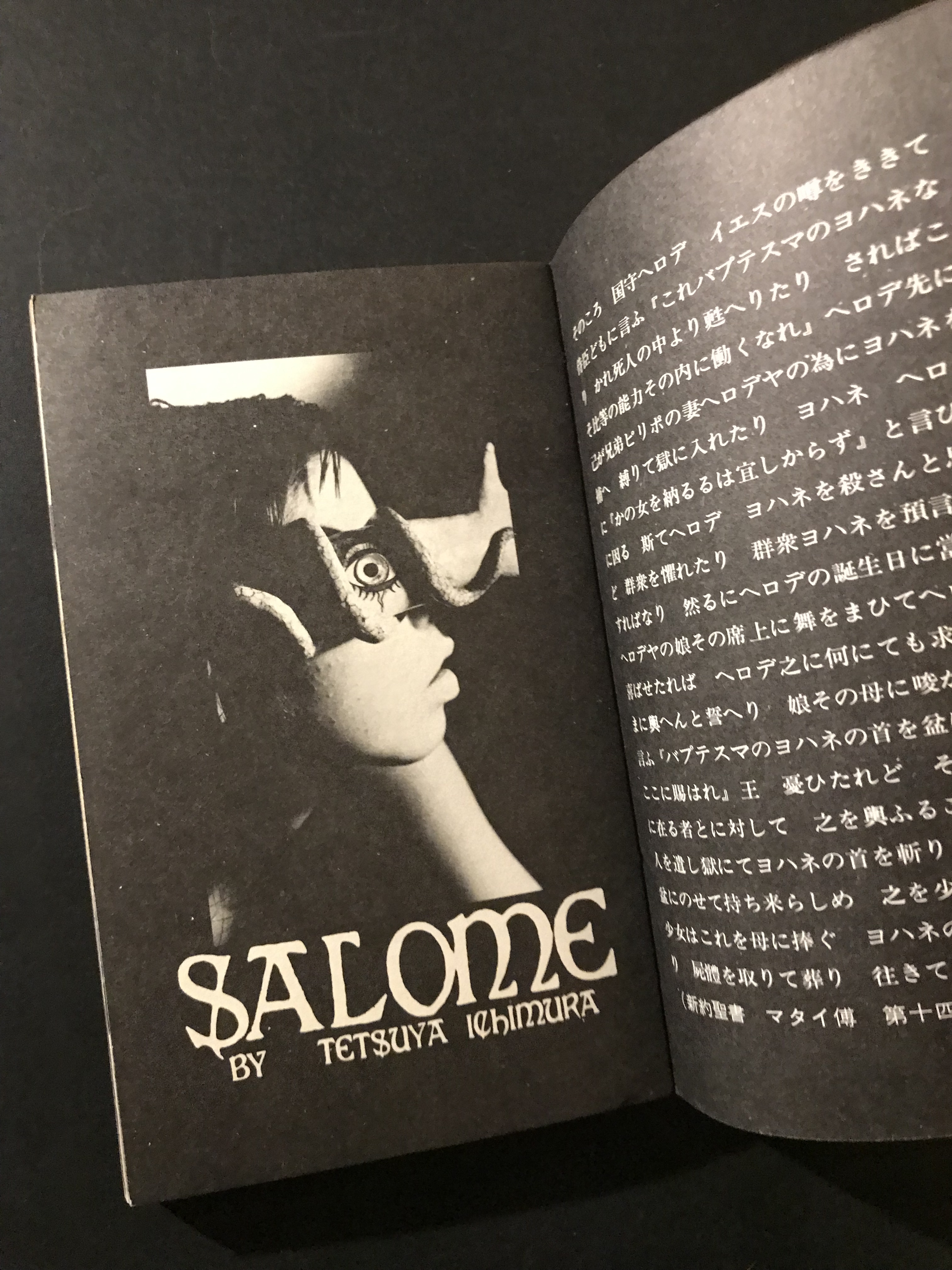 Salome Japanese Avant Garde Books