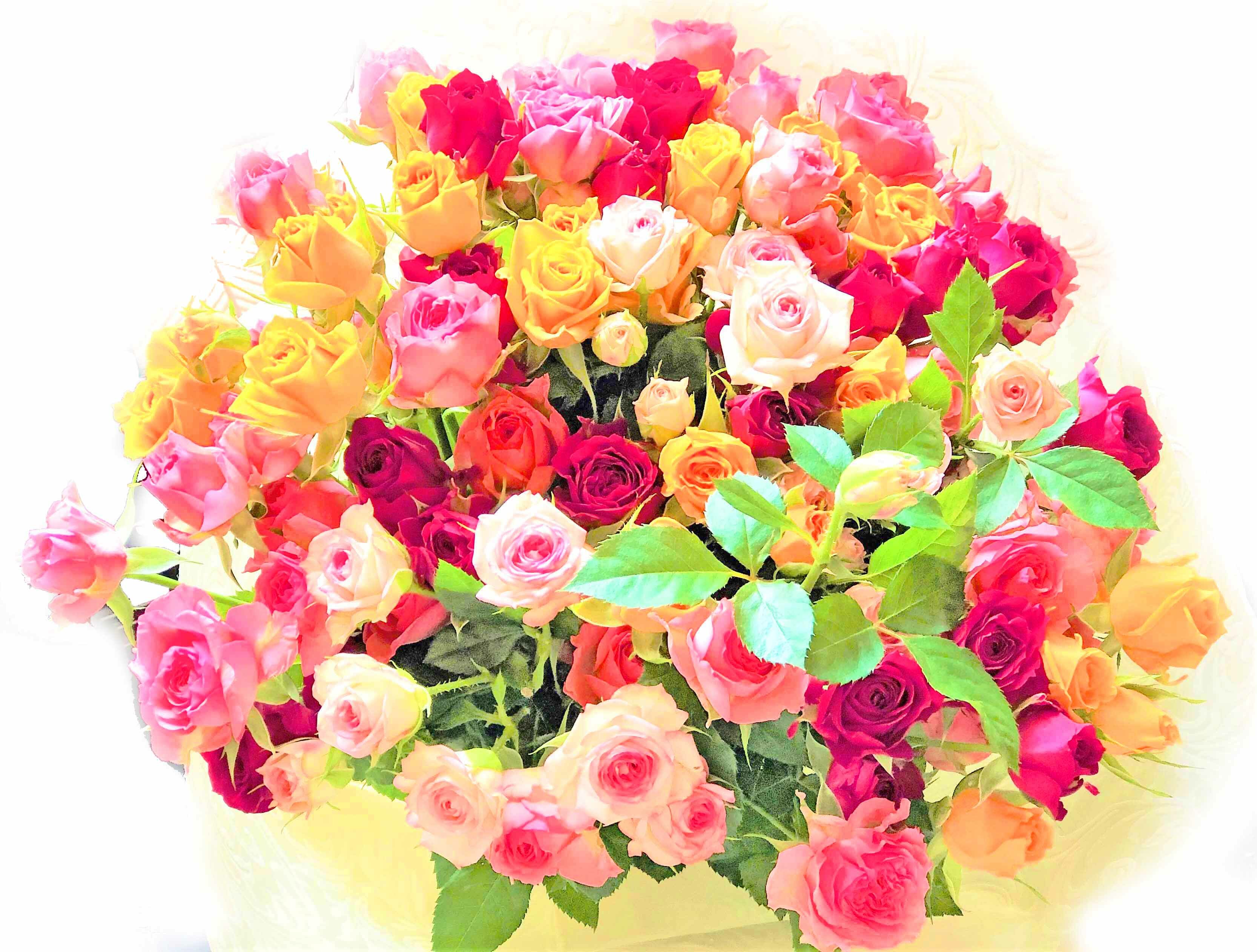 ミニバラの花束カラフルmix 産地直送 花と雑貨 花千手 Hanasenju