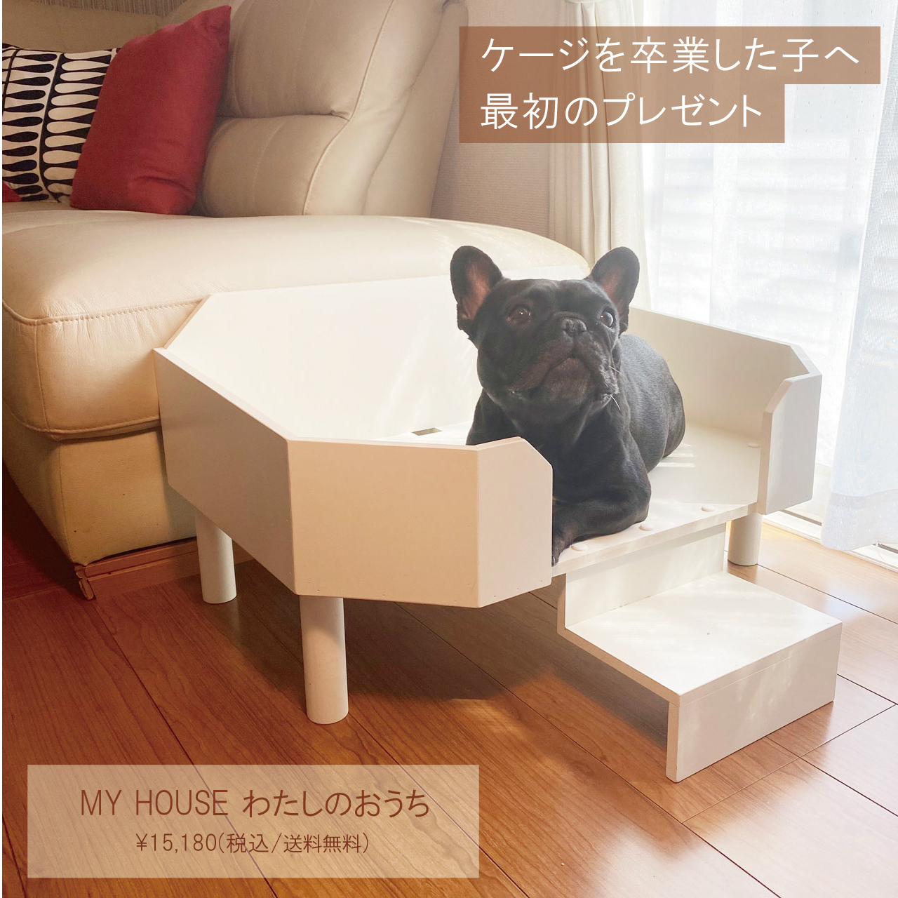 My House おしゃれ ホワイト ベット 室内 犬小屋 小型犬 中型犬 木製 日本製 白 フレブル パグ Mダックス 猫 Cat Darumaya06