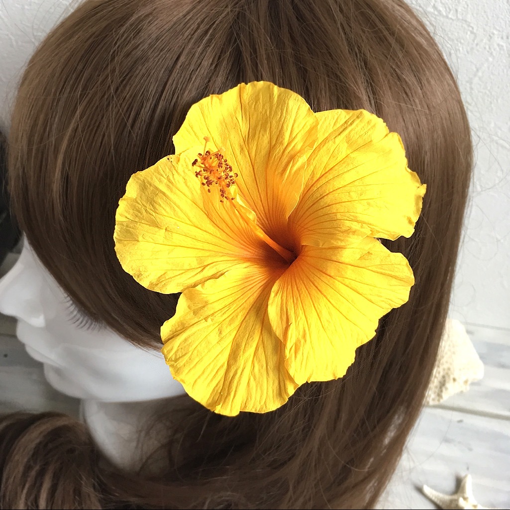 プリザーブドフラワー ハイビスカス髪飾り 大阪府 プリザーブドフラワー専門店 Florist Hana Hana プリザーブドフラワー ハイビスカス髪飾り 大阪府 プリザーブドフラワー専門店 Florist Hana Hana