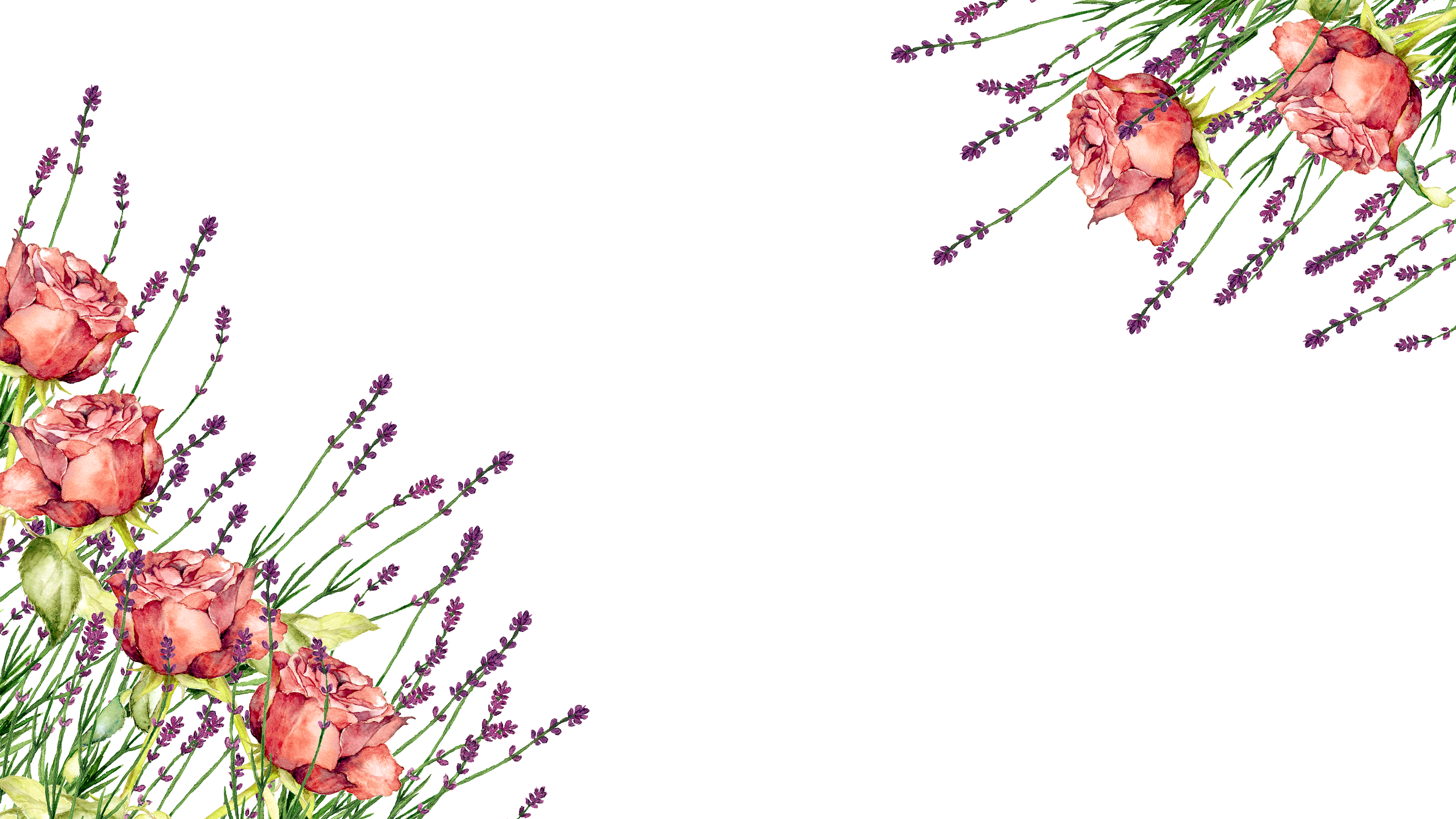 薔薇とラベンダー フレーム2 Png 背景透過 イラスト素材屋