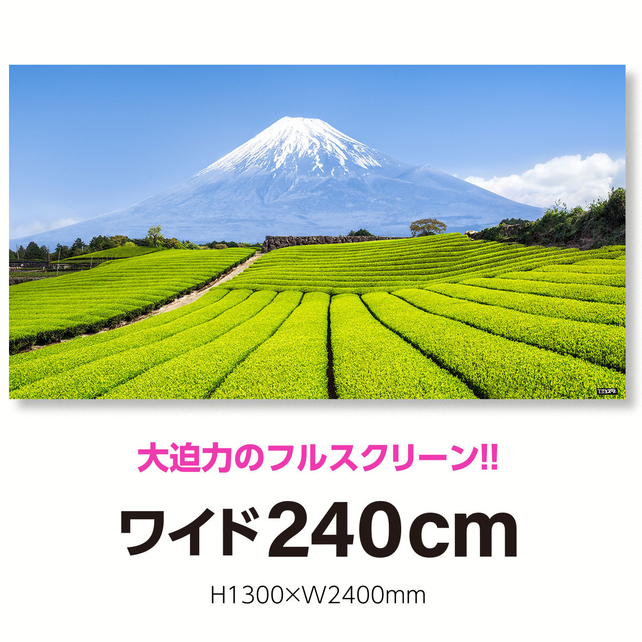 Nj 038l 超ワイド240cm H1300 W2400mm 自然 風景 日本の景色 緑茶農園 静岡 はがせるシール付き 貼るだけでスタジオ気分 テレワーク 撮影用 壁紙ポスター 貼るスタ