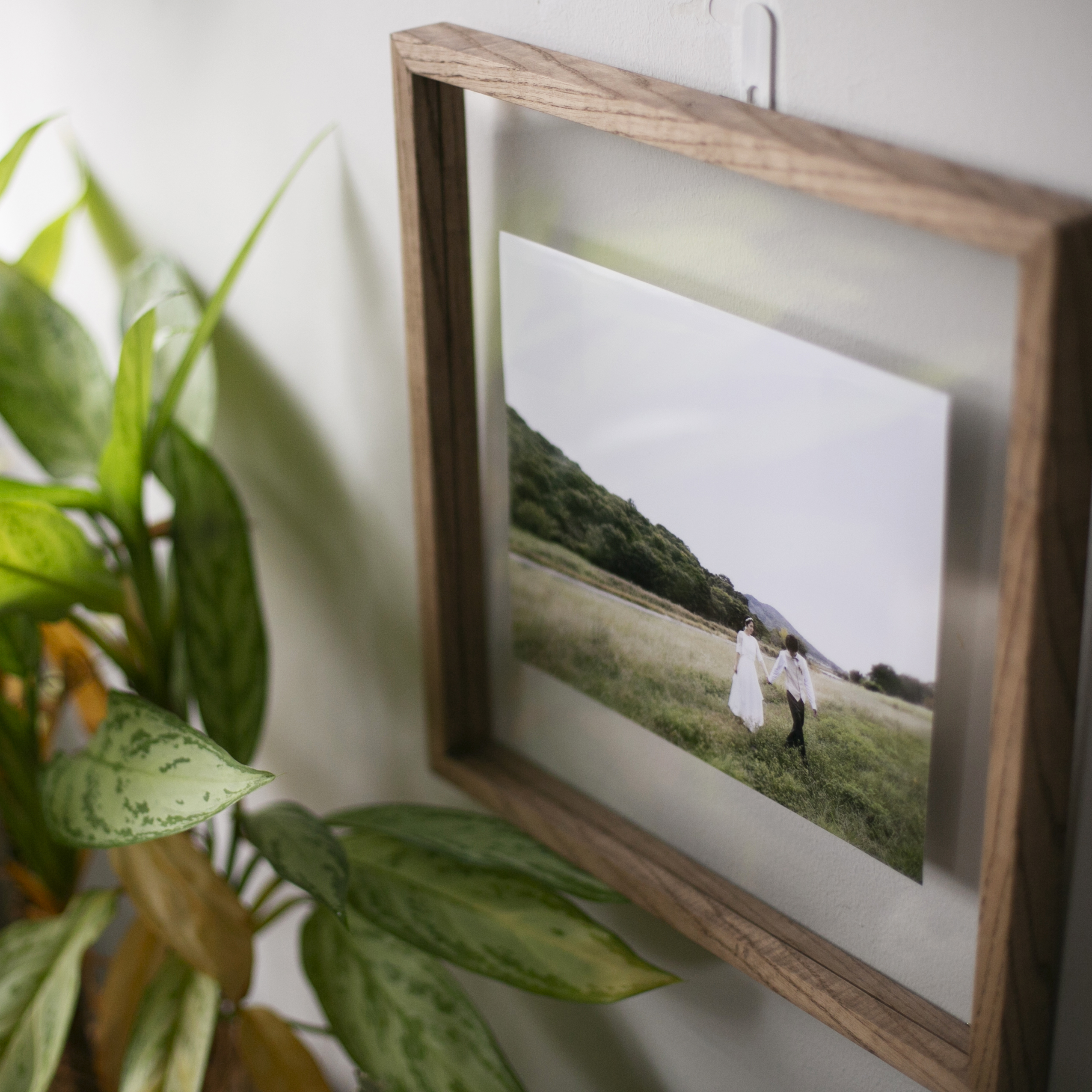 はじめてのフォトフレーム 市川 カメラマン Rome Photograph ロメ フォトグラフ オンラインカメラ講座