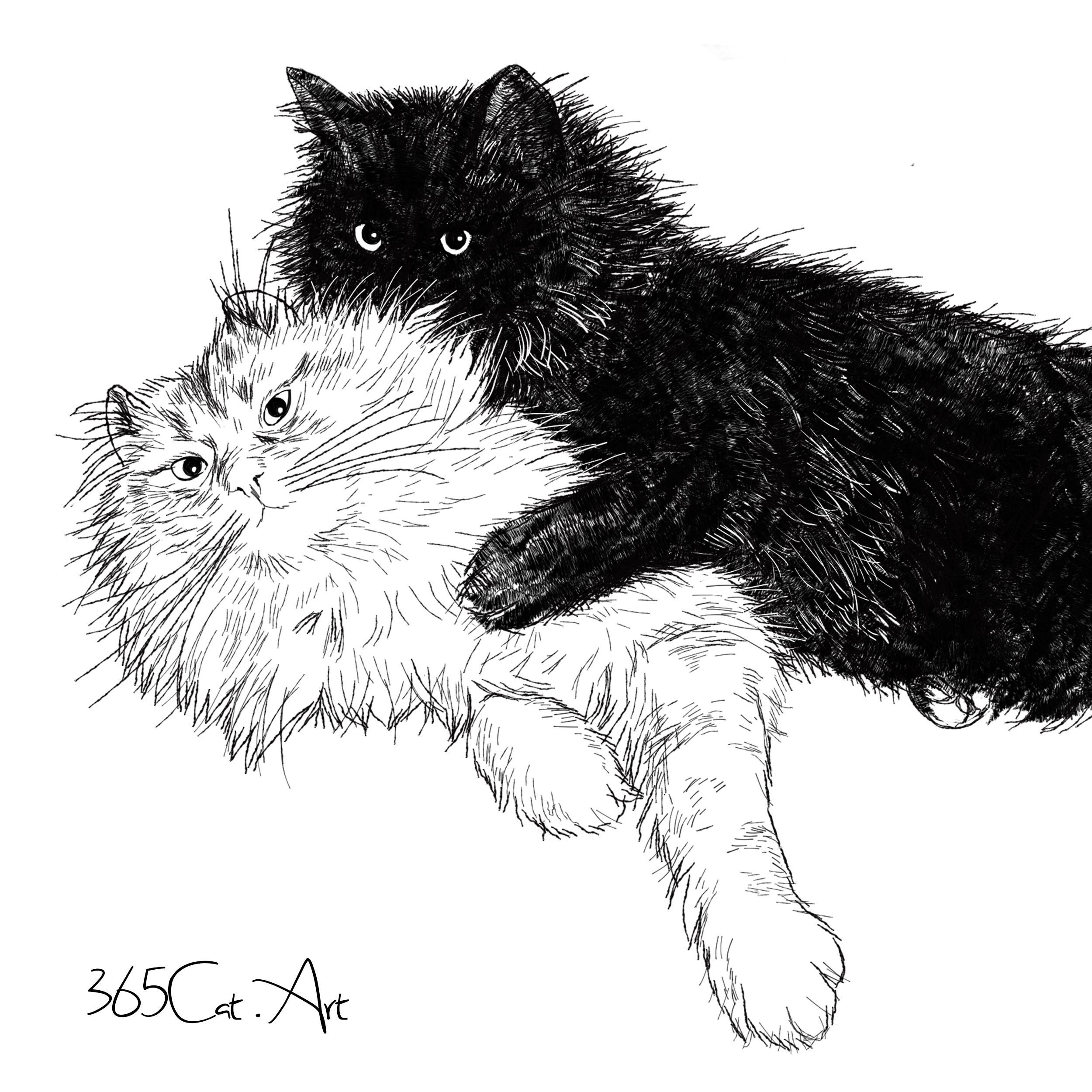 猫の手描きイラスト 似顔絵 白黒 作成 上半身 動物 人間可 猫雑貨 グッズ通販 猫や動物イラスト 似顔絵作成 365cat Art