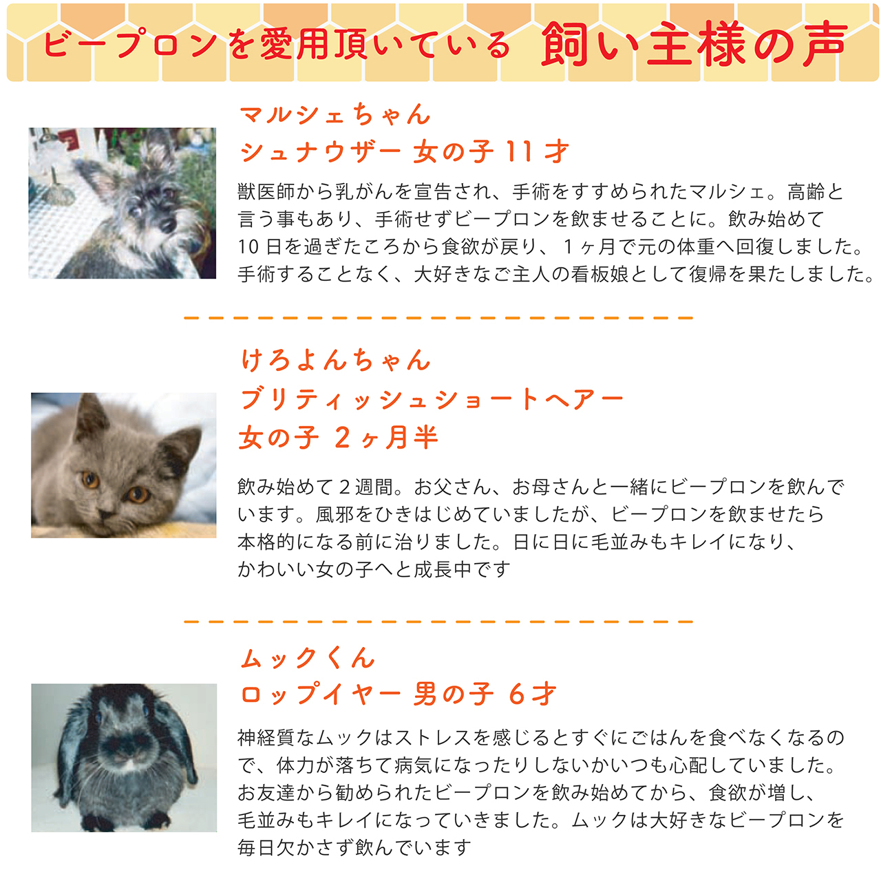 ペット用 高濃度 プロポリス ビープロン Beepron For Pets 30cc ブラジル産 アルコールフリー 健康 免疫 サプリメント ペットと人の健康に 高濃度プロポリス Beepron ビープロン