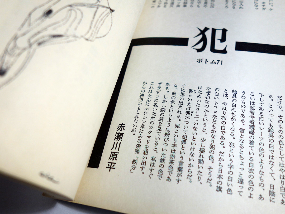 現代詩手帖 1971年7月号 谷川晃一 装画 波羅多平吉 題字 Bookstore ナルダ