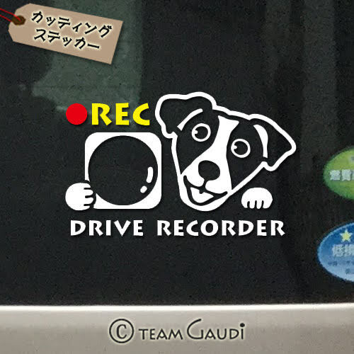 ドラレコ ステッカー ジャックラッセルテリア デザインc ステッカー 犬 ミックス犬 ドライブレコーダー録画中 煽り運転防止 シール 工房 Team Gaudi