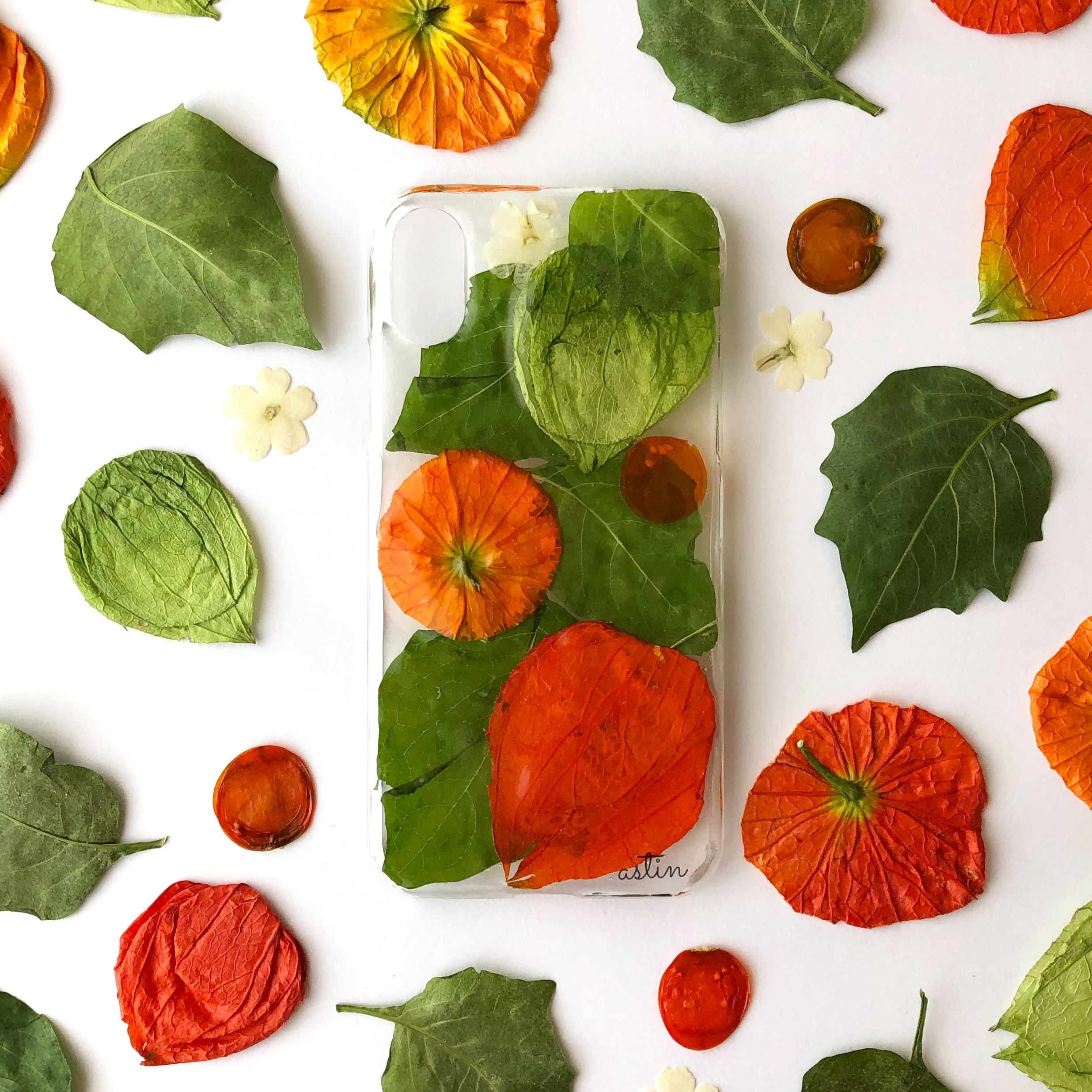 本物のホオズキの押し花スマホケース Astin Muhler 押しフルーツスマホケースで通話姿も美しく