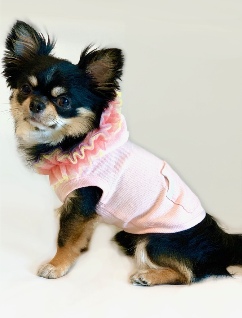 Macaron Frill Hoodie Pink 犬服 人気 犬の服 おしゃれ ドッグウェア 小型犬 犬服ブランド Chicc ドッグウェアブランド