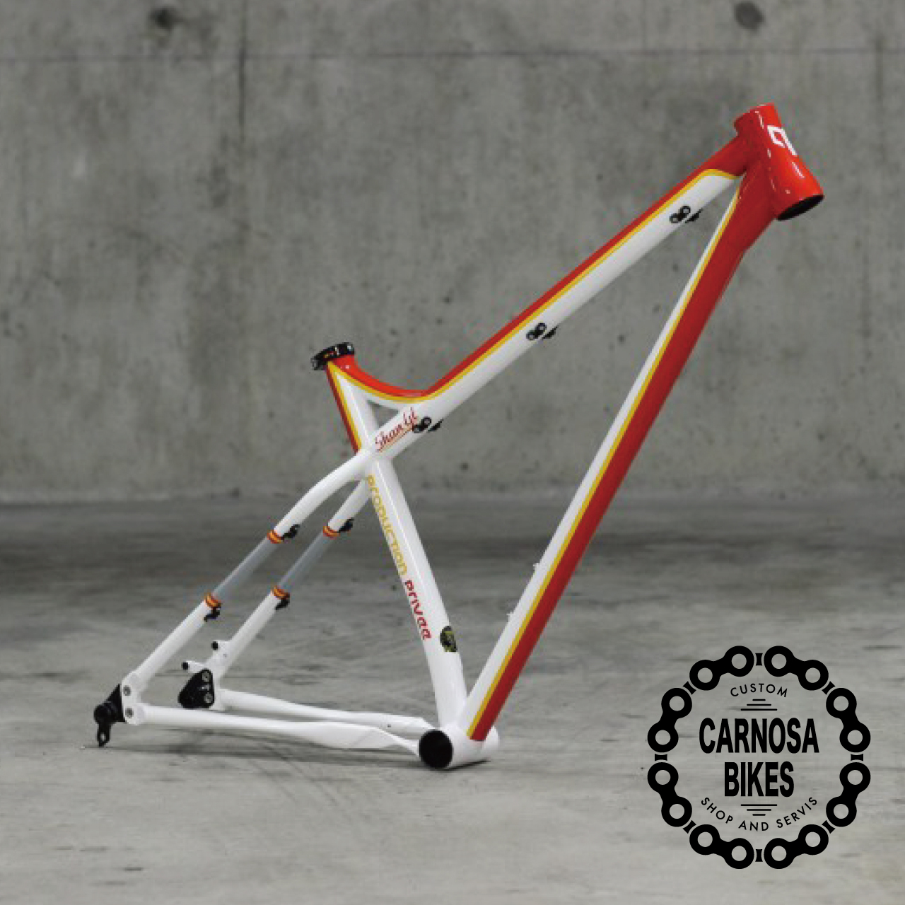 Production Privee Shan Gt シャン ジーティー フレーム Boost 27 5 29インチ Stingrey Mサイズ マウンテンバイク Bmx自転車ショップ Carnosa Bikes