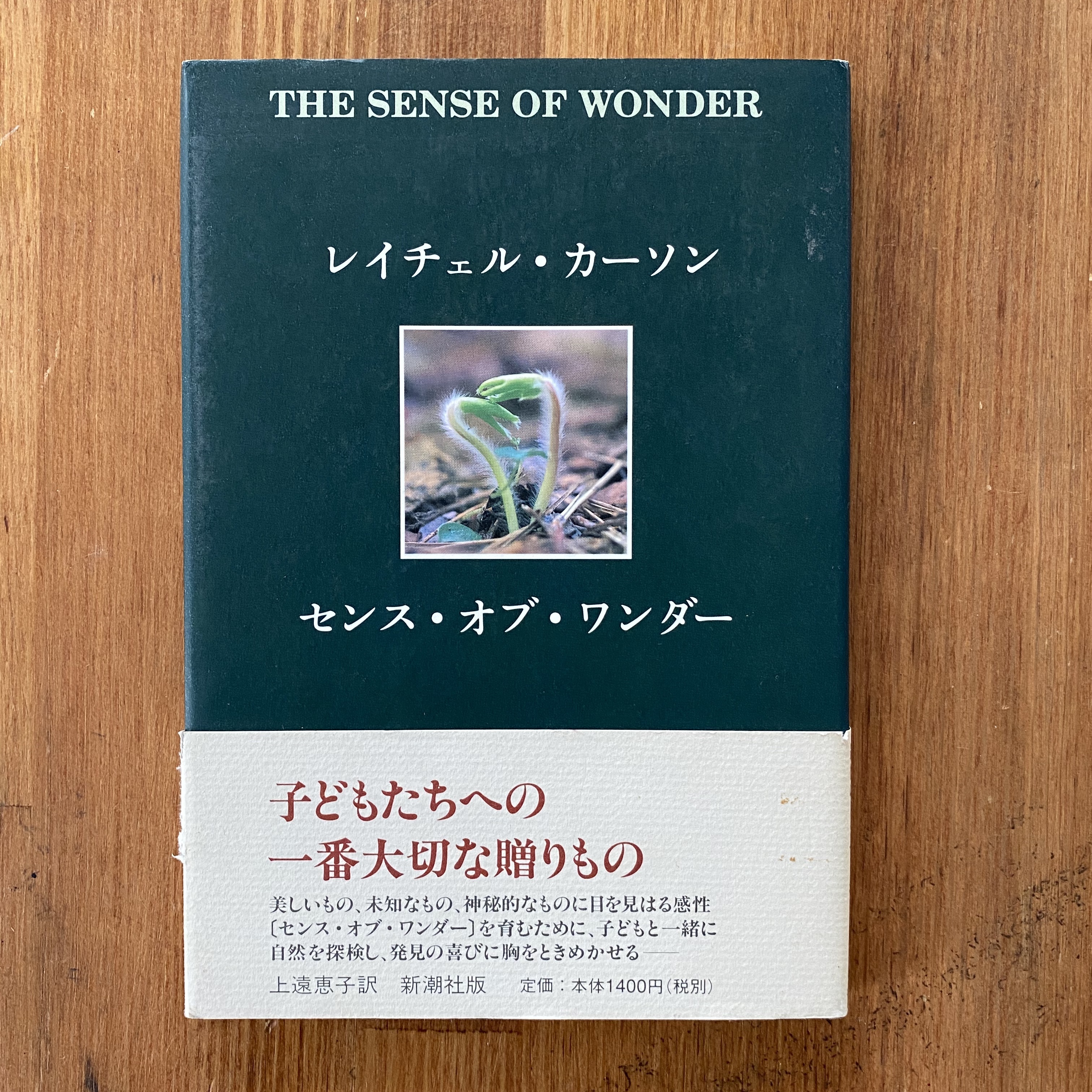 センス オブ ワンダー レイチェル L カーソン 本 レンタル Shibuya Bar