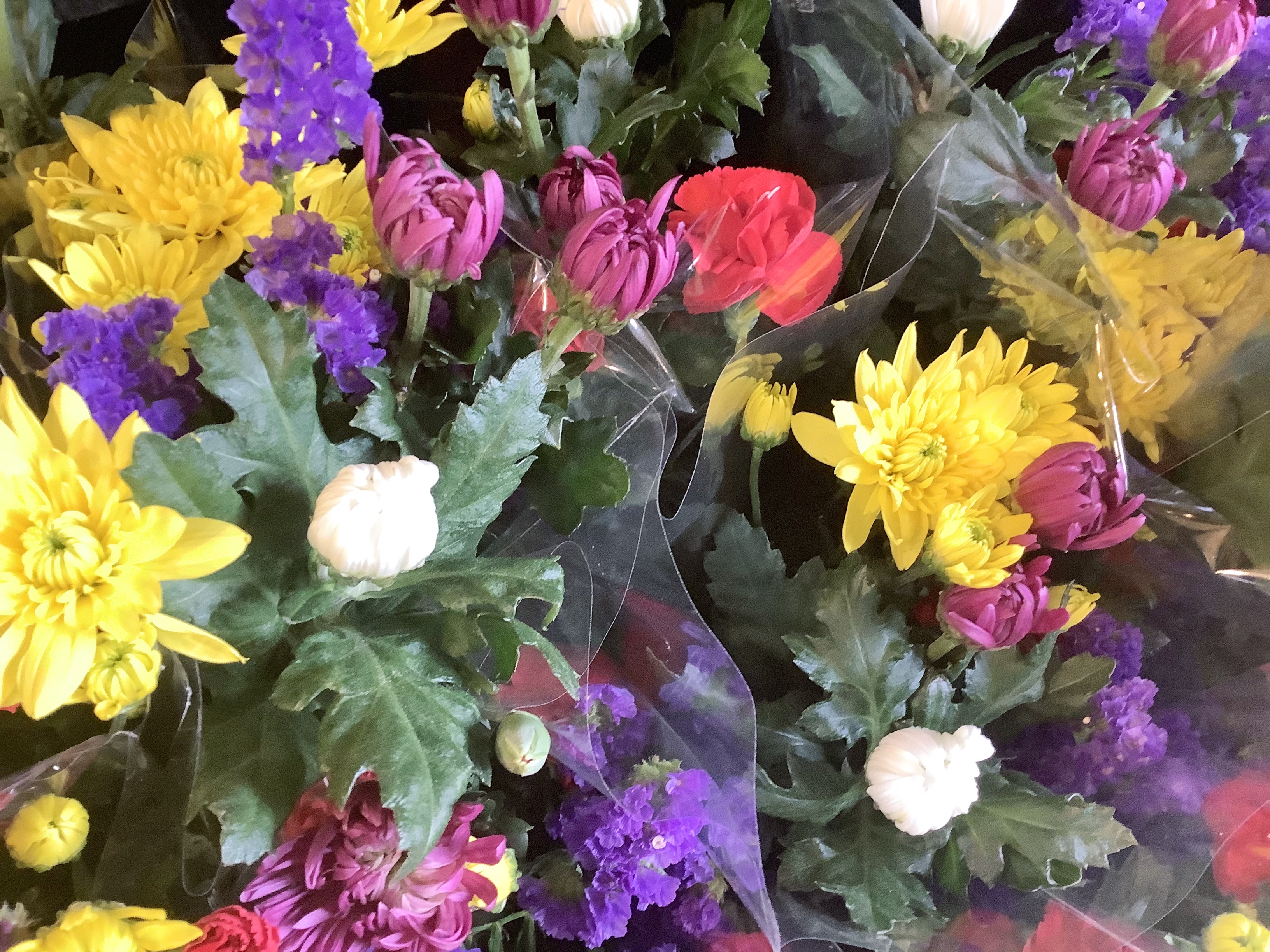 今 旬の花 仏花系 いろんな菊 カーネなど まとめて 30本 あそこの花屋