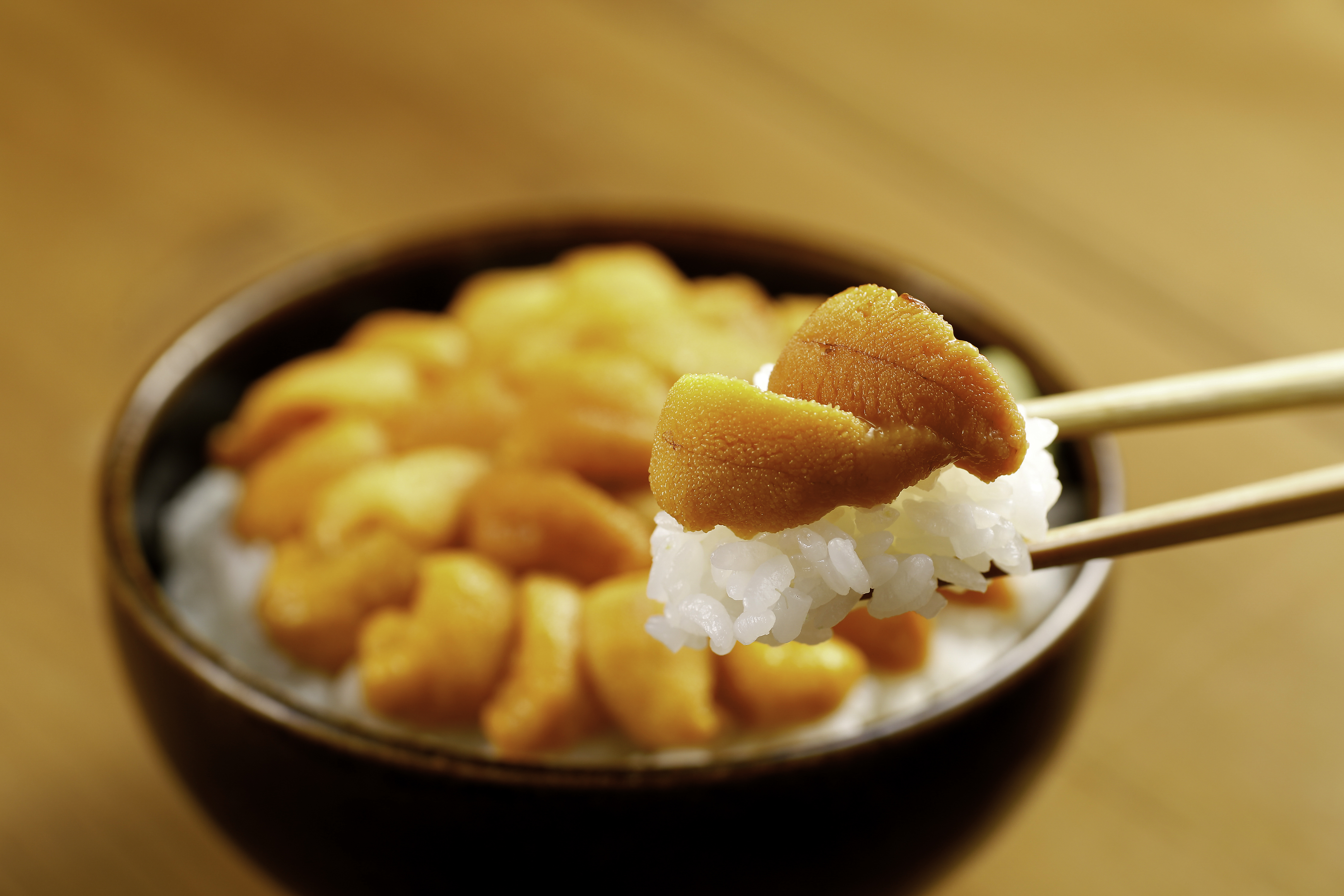 札幌市場協力特別価格商品 塩水うに 食べ方付き 札幌市場応援特設ショップ 札幌市場協力特別価格商品 塩水うに 食べ方付き 札幌市場応援特設ショップ