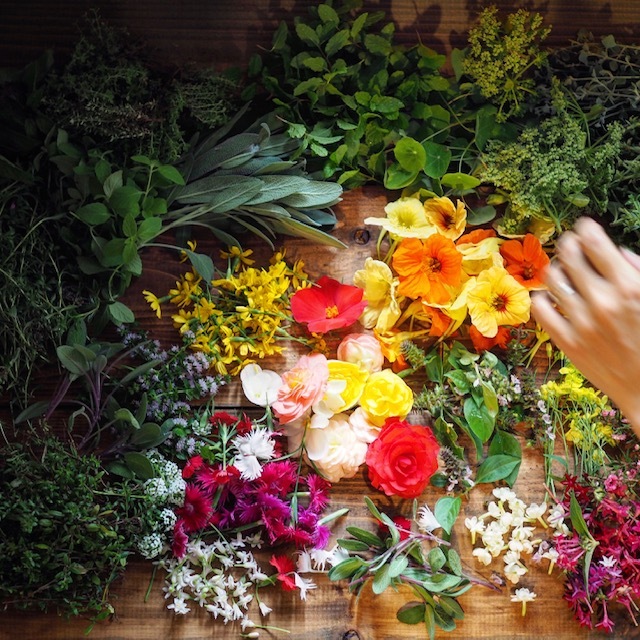 Edible Flowers Mix エディブルフラワーミックス Sサイズ 農地所有適格法人 株式会社 苗目