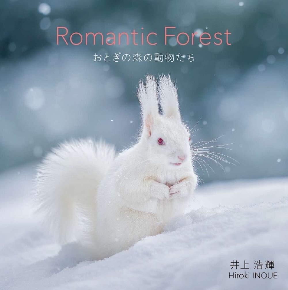 初回限定おまけ付き Romantic Forest おとぎの森の動物たち 円豆珈琲