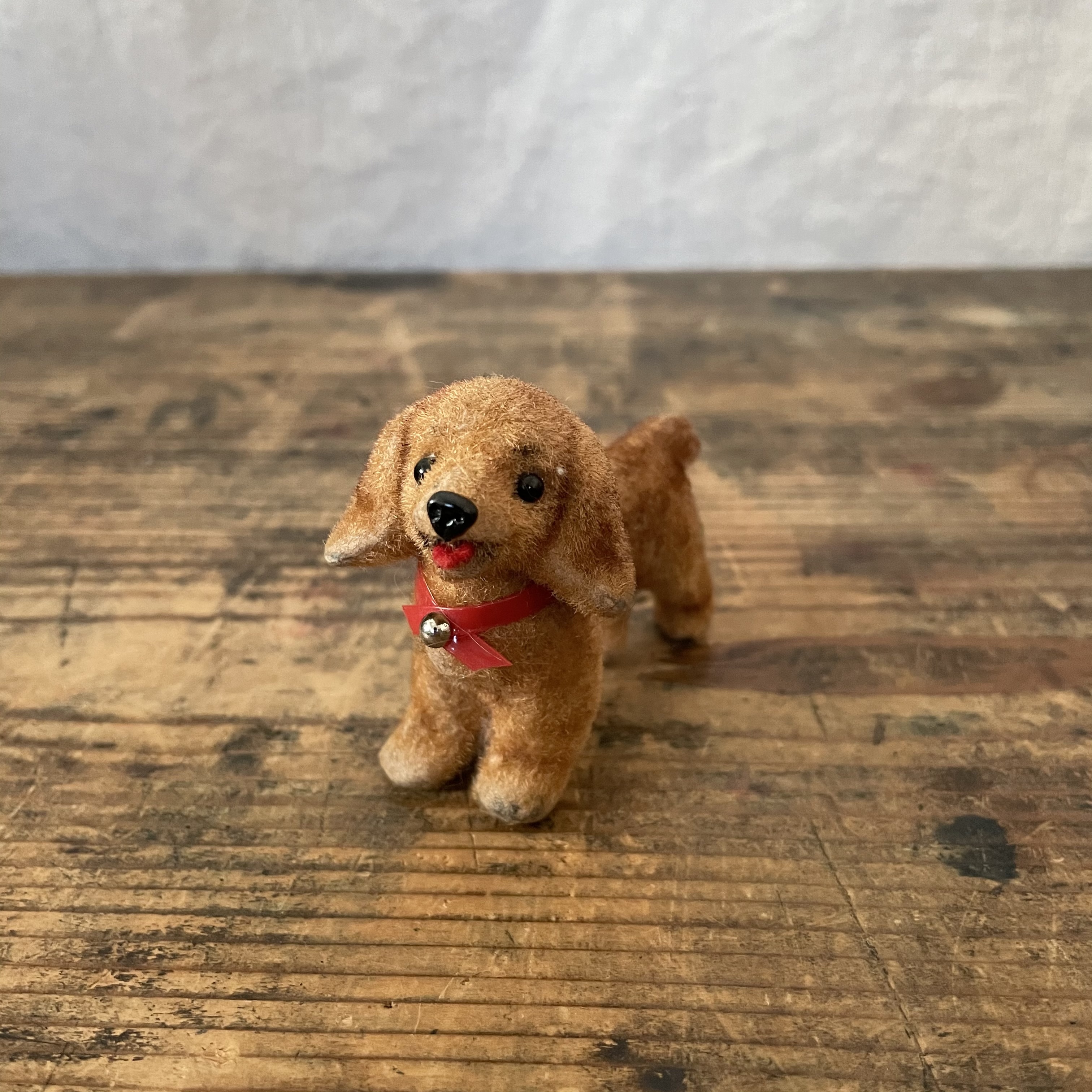 見つめてくる犬 Tsuitachi Craft Brocante