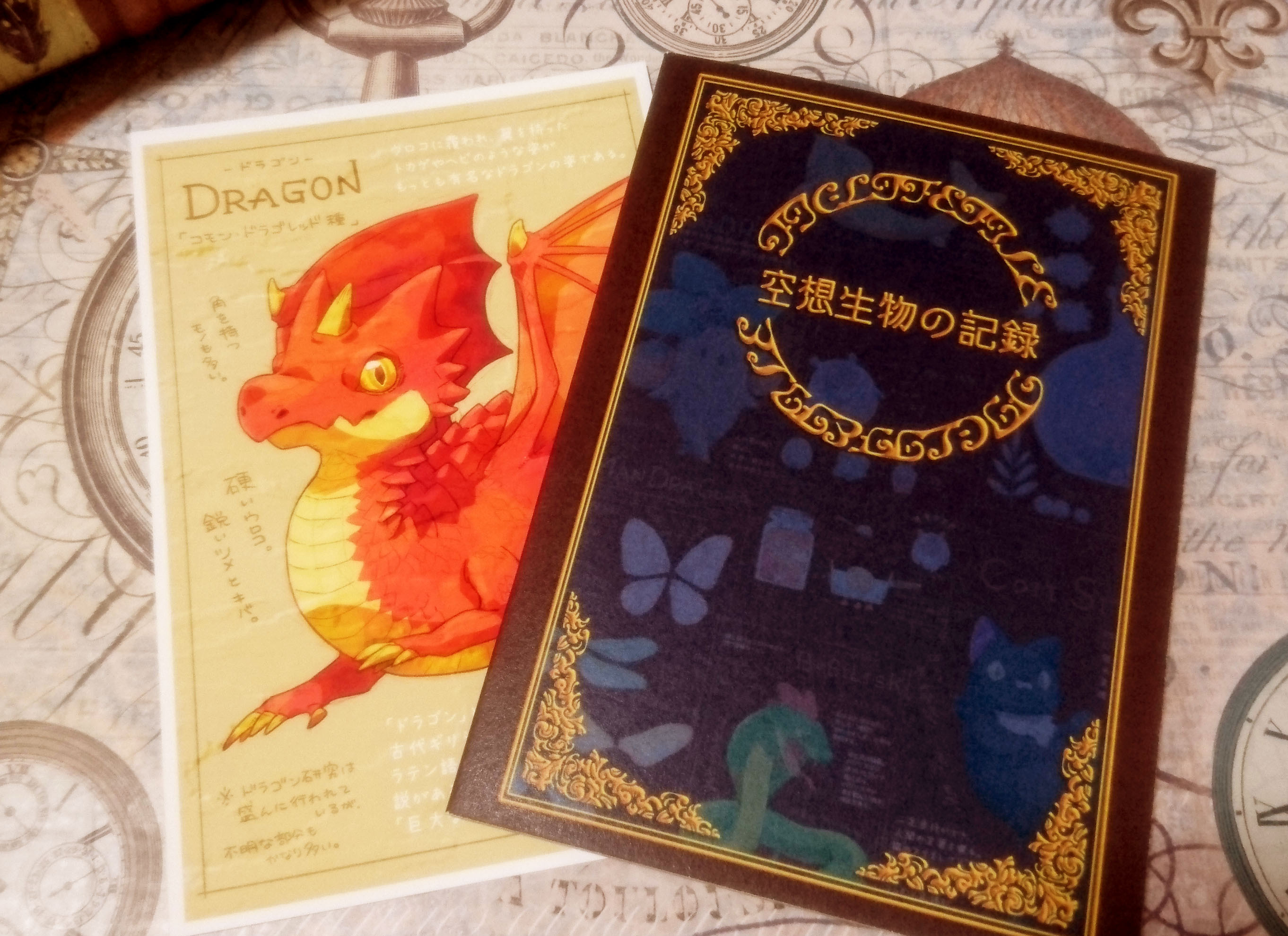 イラスト集 空想生物の記録 こんまり書房