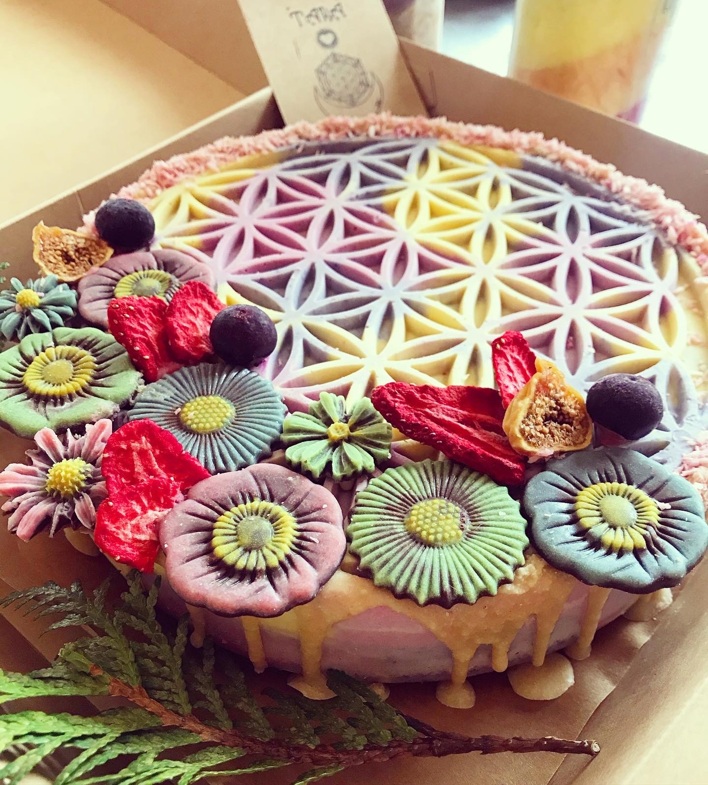 Flower Of Life Raw Cake フラワーオブライフのローケーキ Tara Serendip Magical Healing Sweets