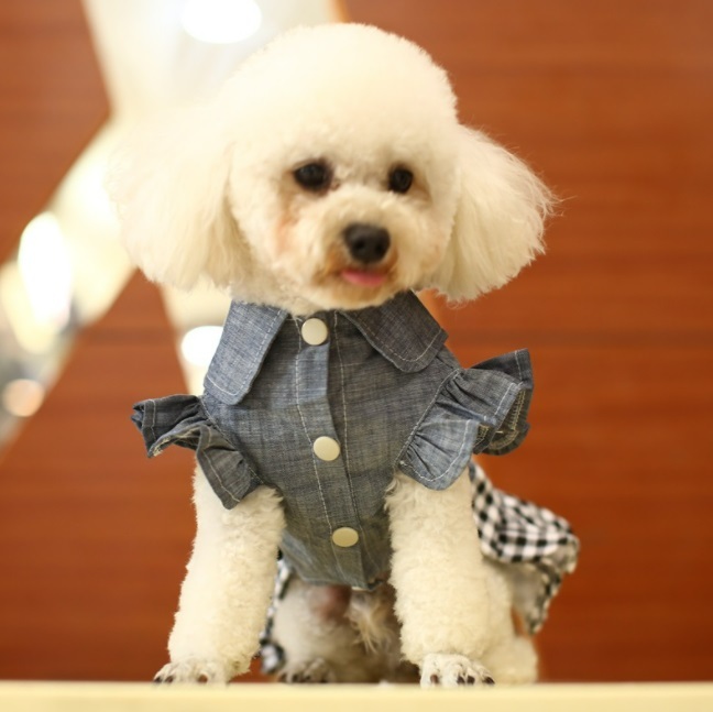 即納 人気3位 デニムチェックワンピース 犬 ペット Candydogg