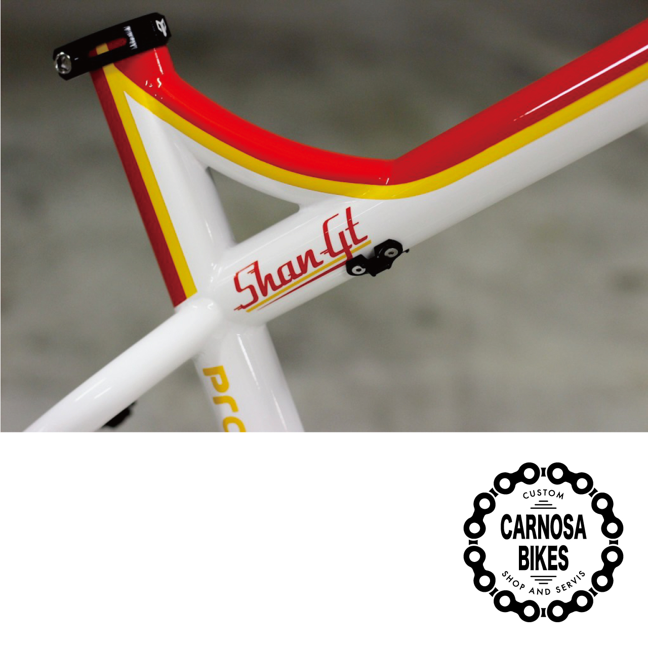 Production Privee Shan Gt シャン ジーティー フレーム Boost 27 5 29インチ Stingrey Mサイズ マウンテンバイク Bmx自転車ショップ Carnosa Bikes